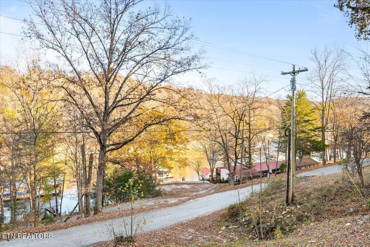 131 Phoenix Lane Speedwell TN 37870