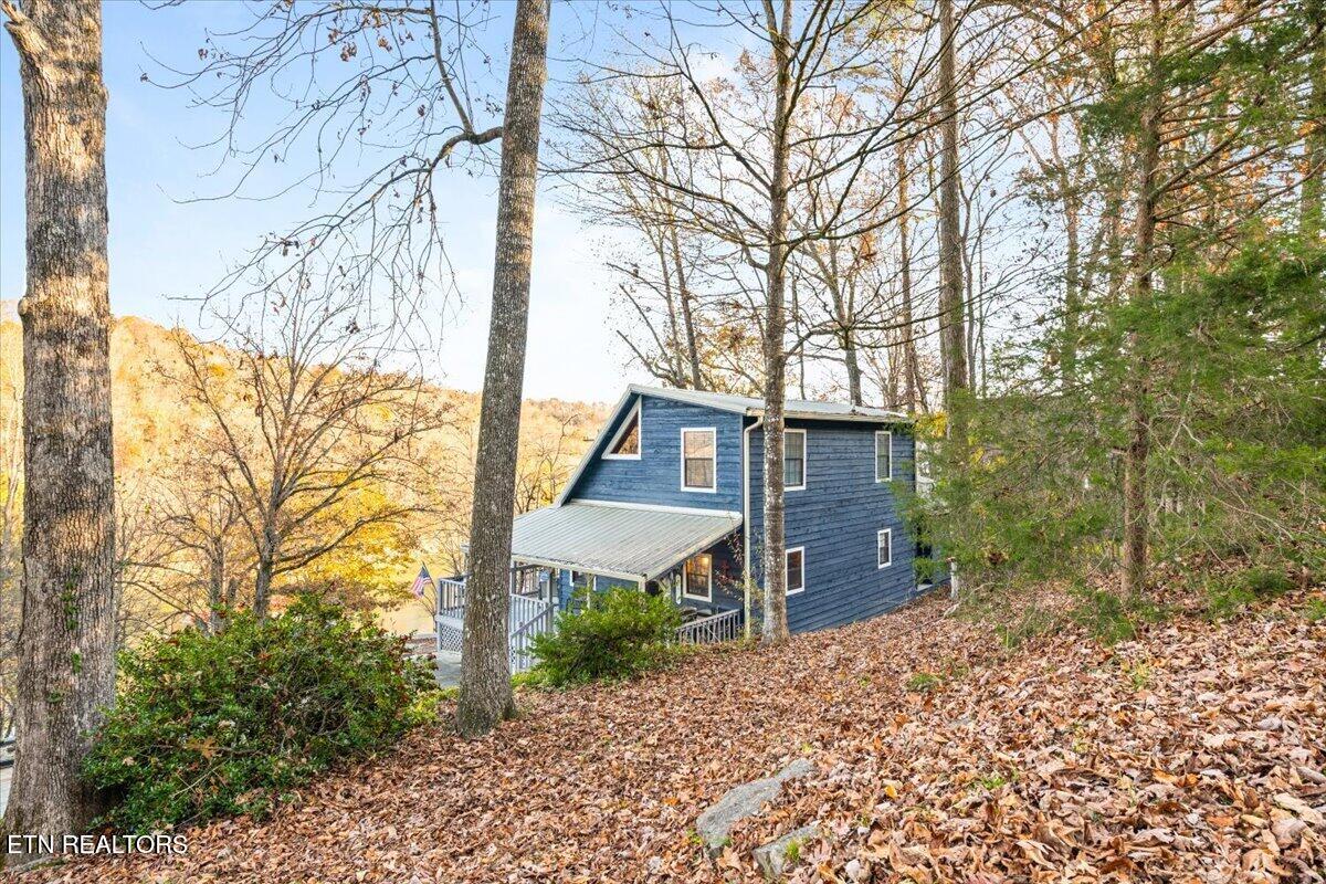 131 Phoenix Lane Speedwell TN 37870