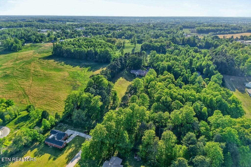 460 Petite Drive Cookeville TN 38501