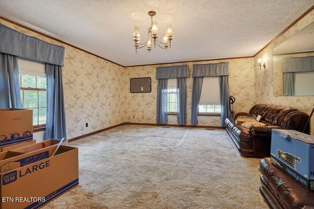 460 Petite Drive Cookeville TN 38501