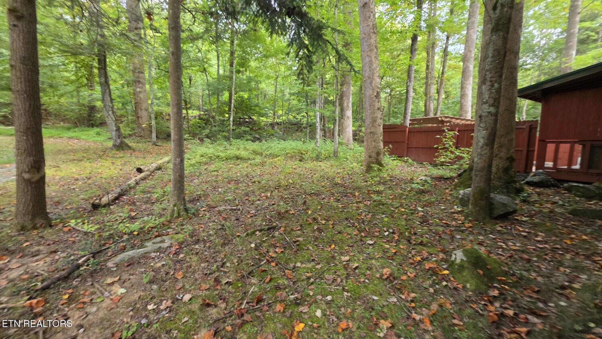 4438 E Scenic Drive Gatlinburg TN 37738