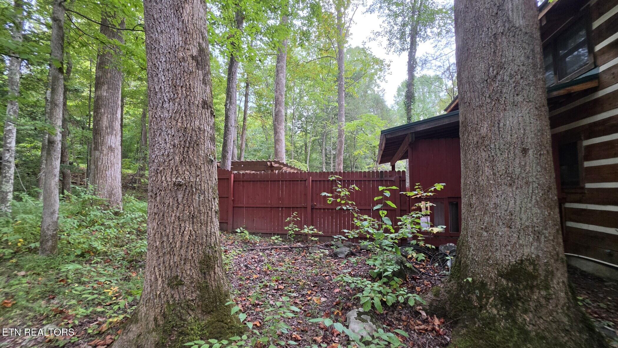 4438 E Scenic Drive Gatlinburg TN 37738