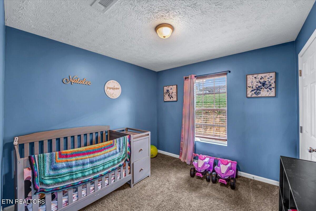 2026 Jonathan Drive White Pine TN 37890