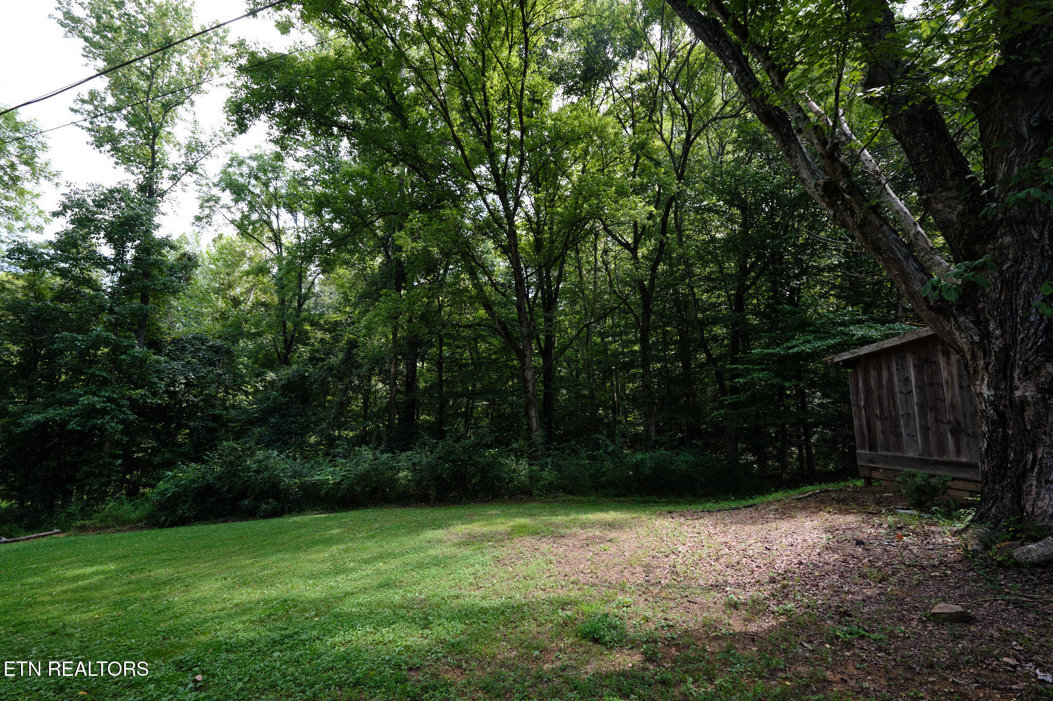3824 Sugar Grove Valley Road Harriman TN 37748