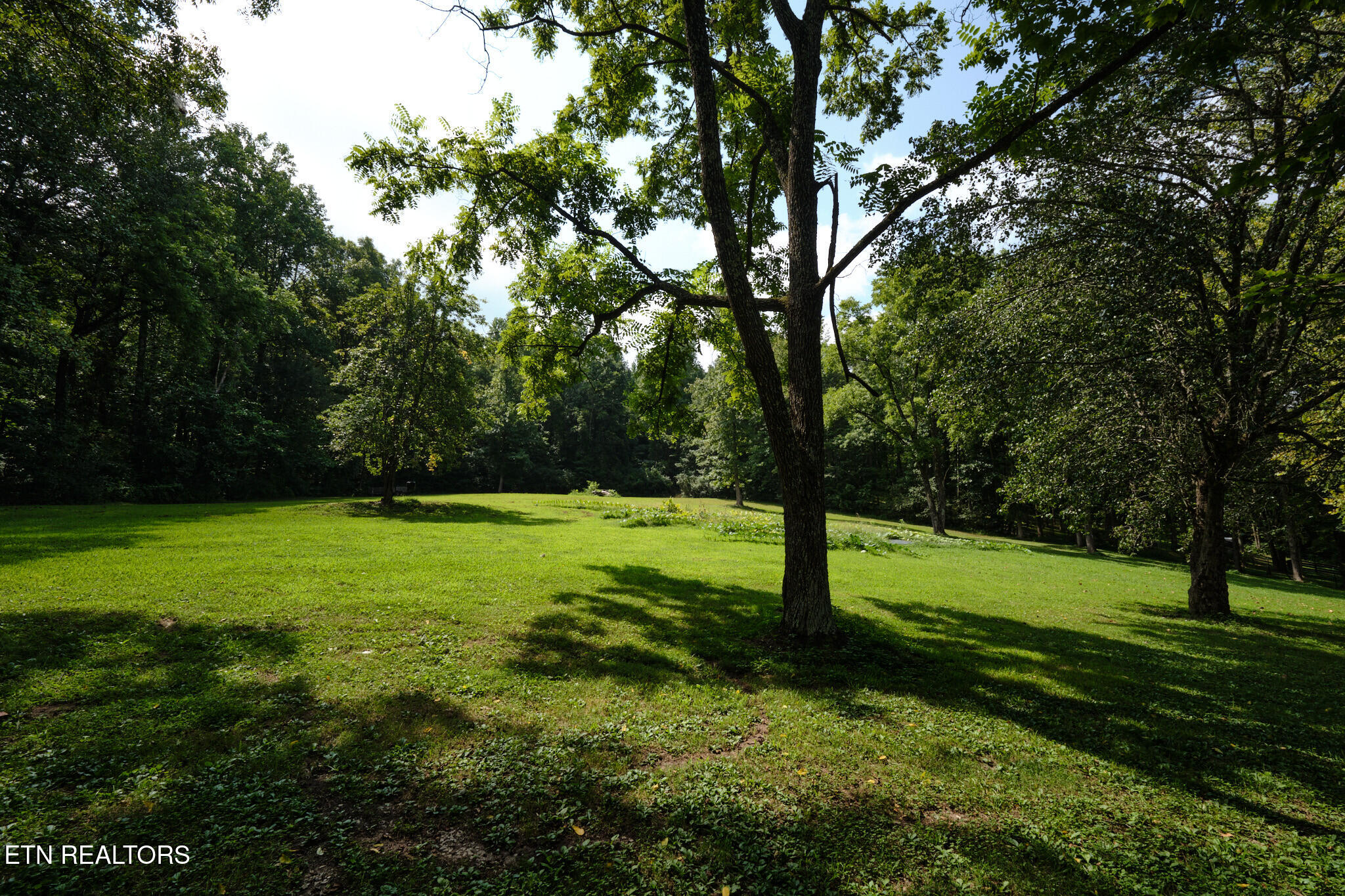 3824 Sugar Grove Valley Road Harriman TN 37748