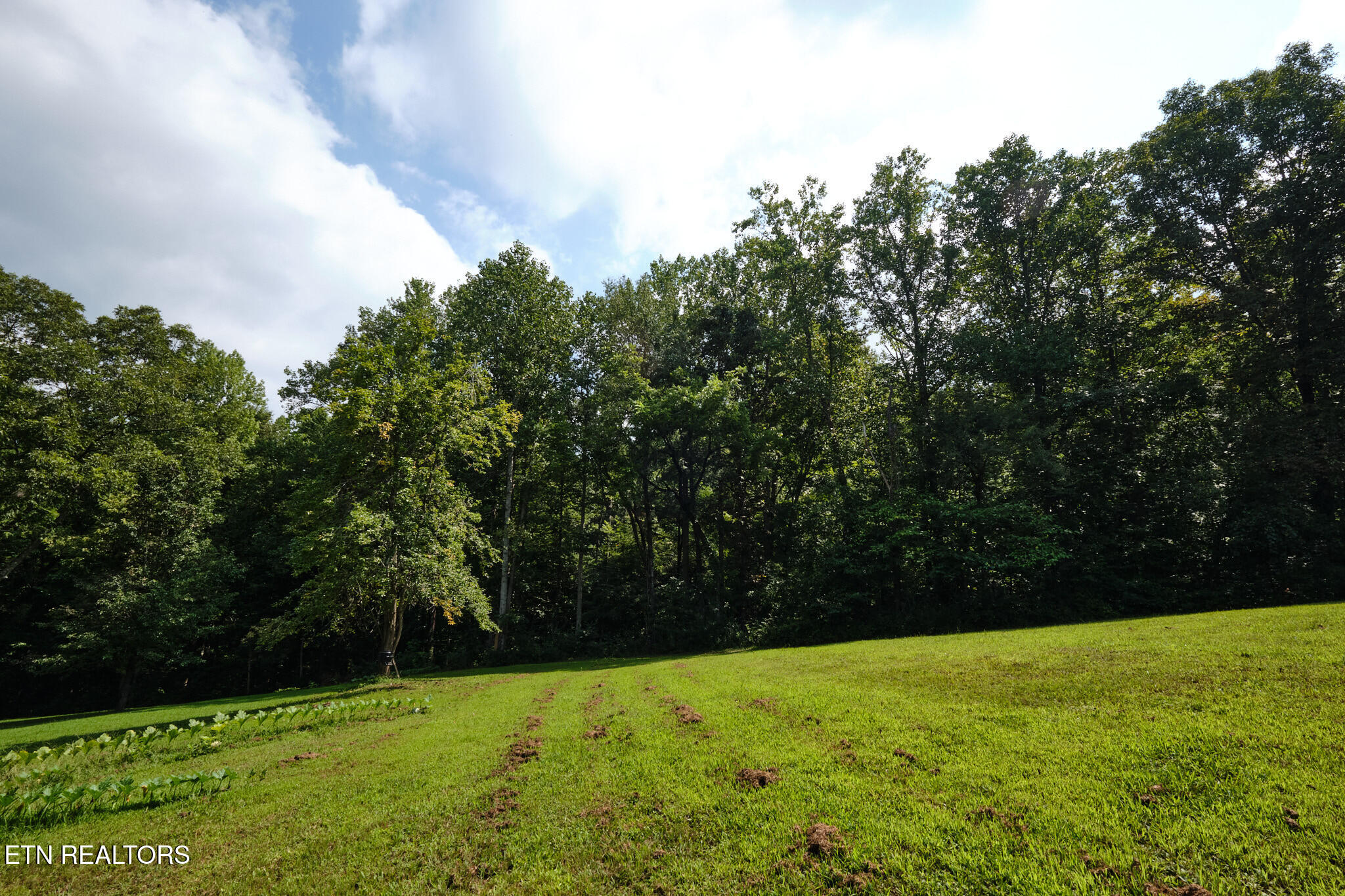 3824 Sugar Grove Valley Road Harriman TN 37748
