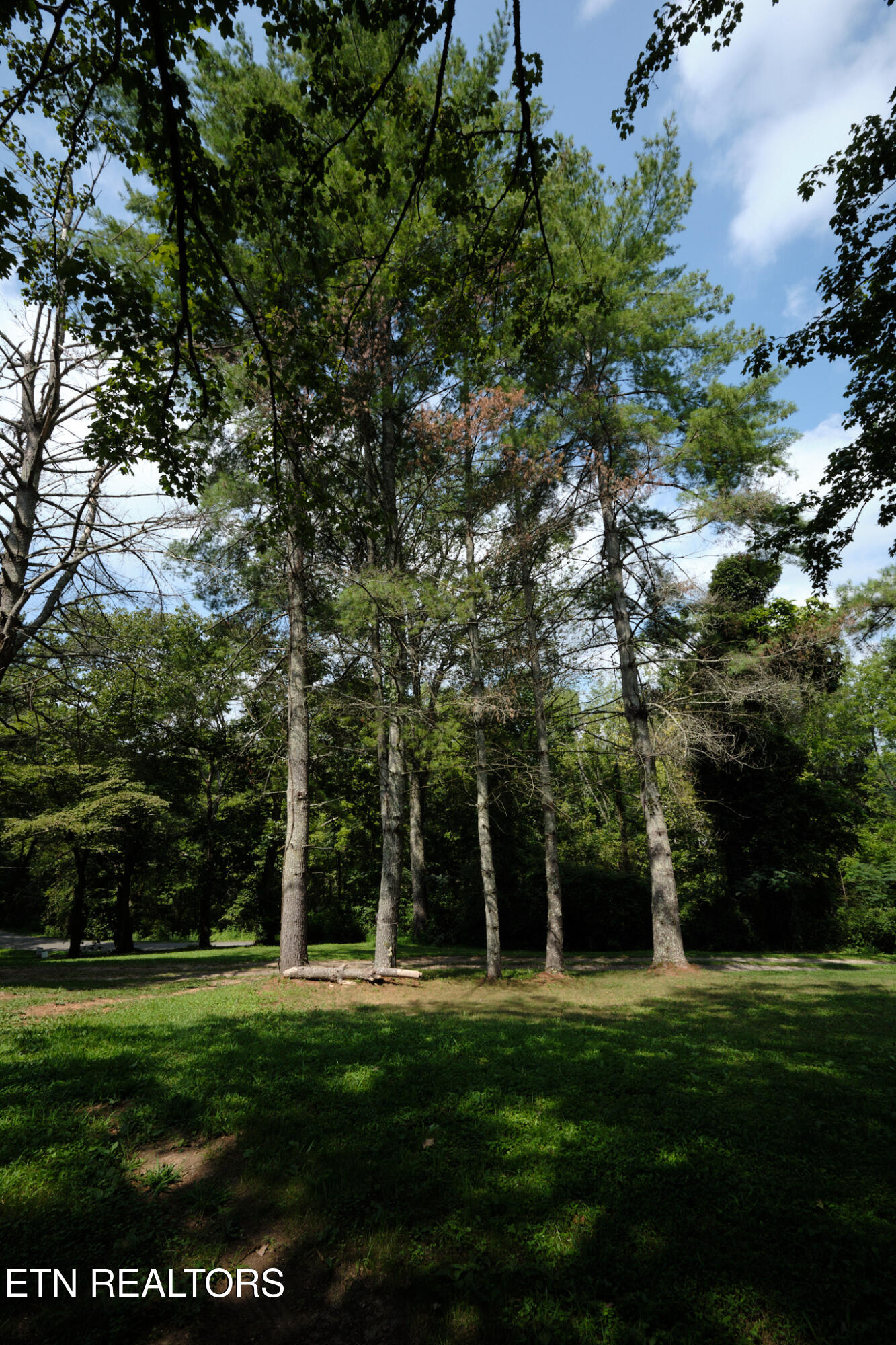 3824 Sugar Grove Valley Road Harriman TN 37748