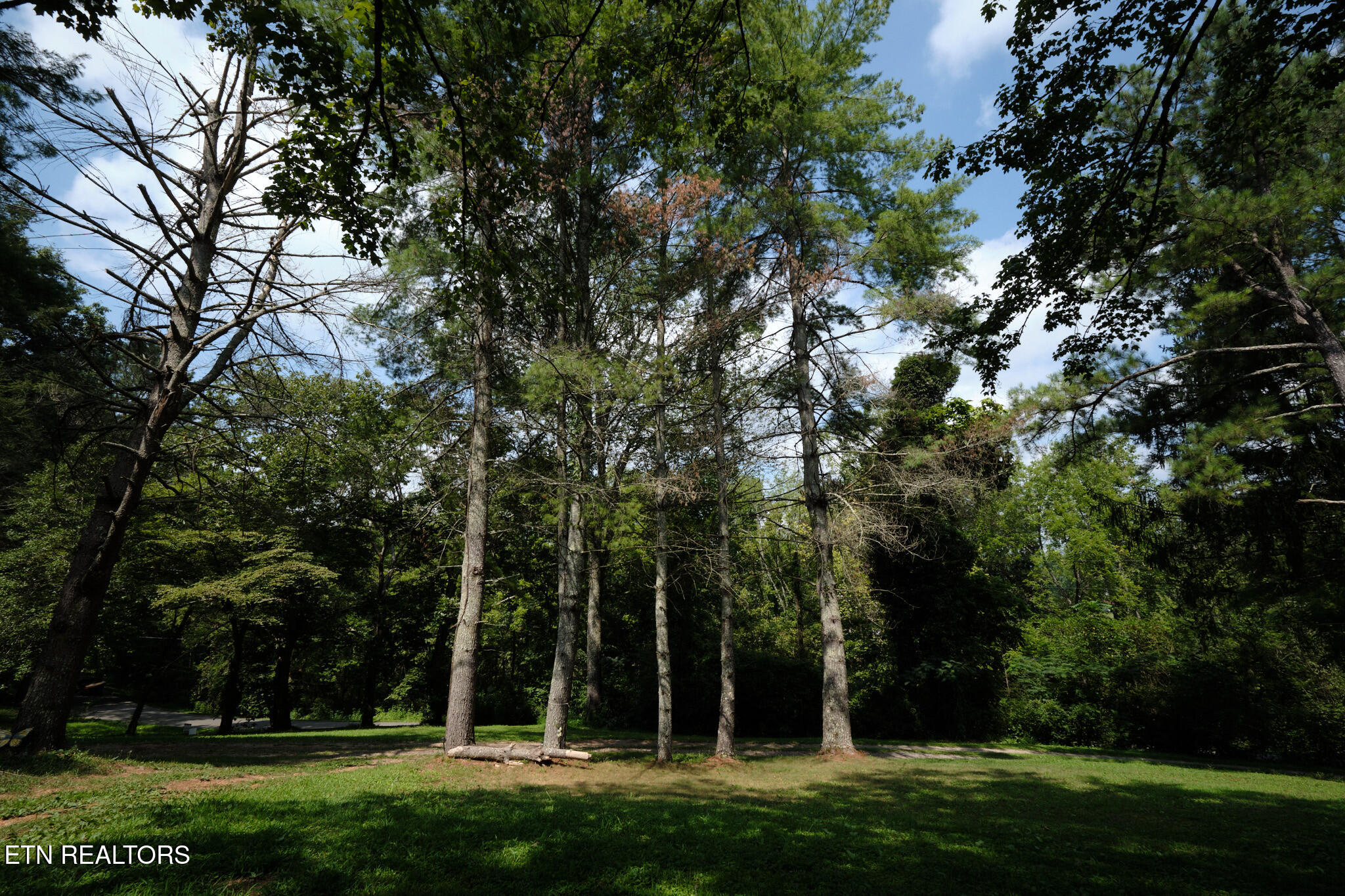 3824 Sugar Grove Valley Road Harriman TN 37748