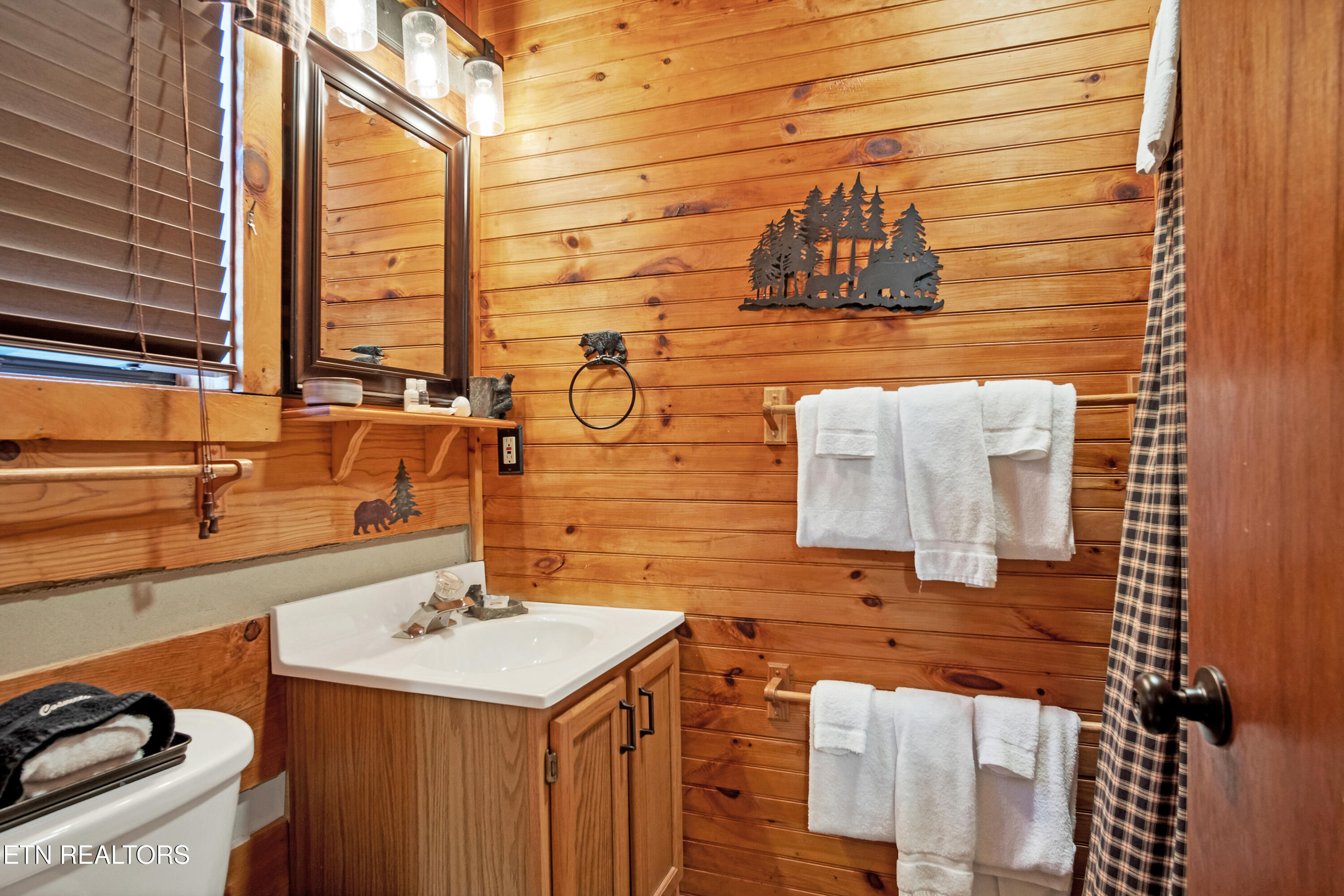 192 Cold Springs Trace Townsend TN 37882