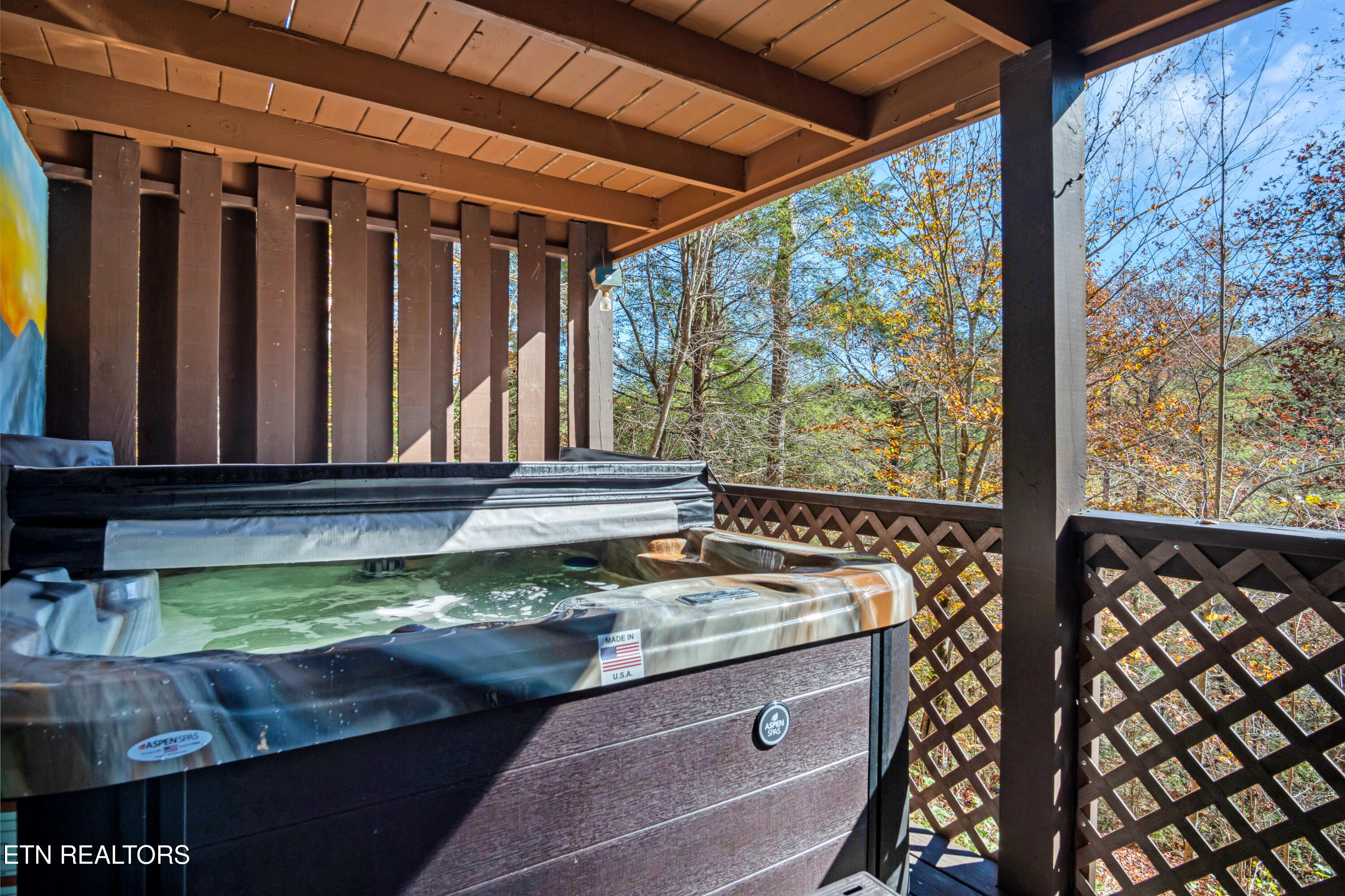 192 Cold Springs Trace Townsend TN 37882