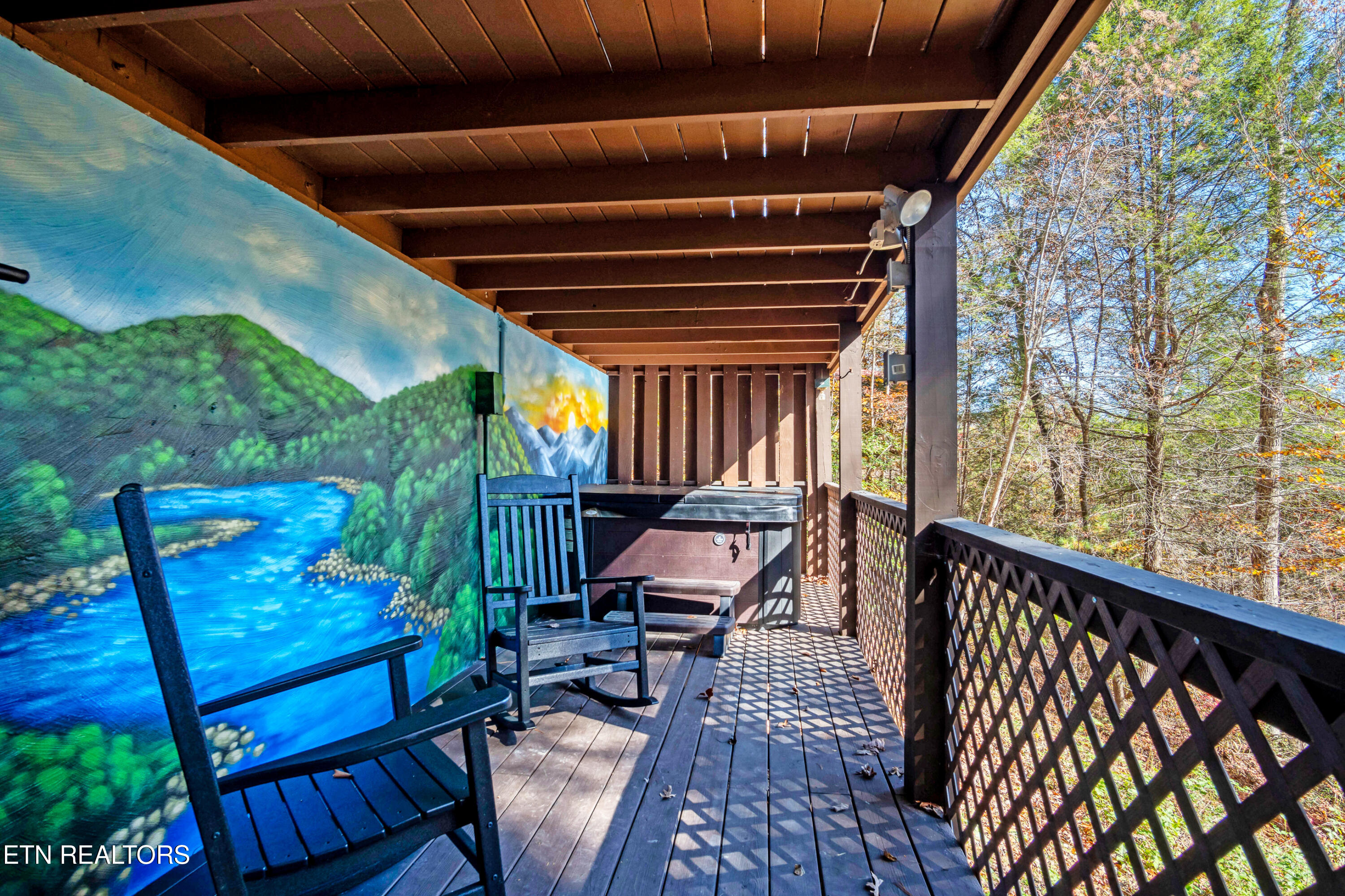 192 Cold Springs Trace Townsend TN 37882