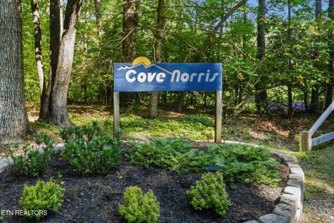 1068 N Shorewood Drive Caryville TN 37714