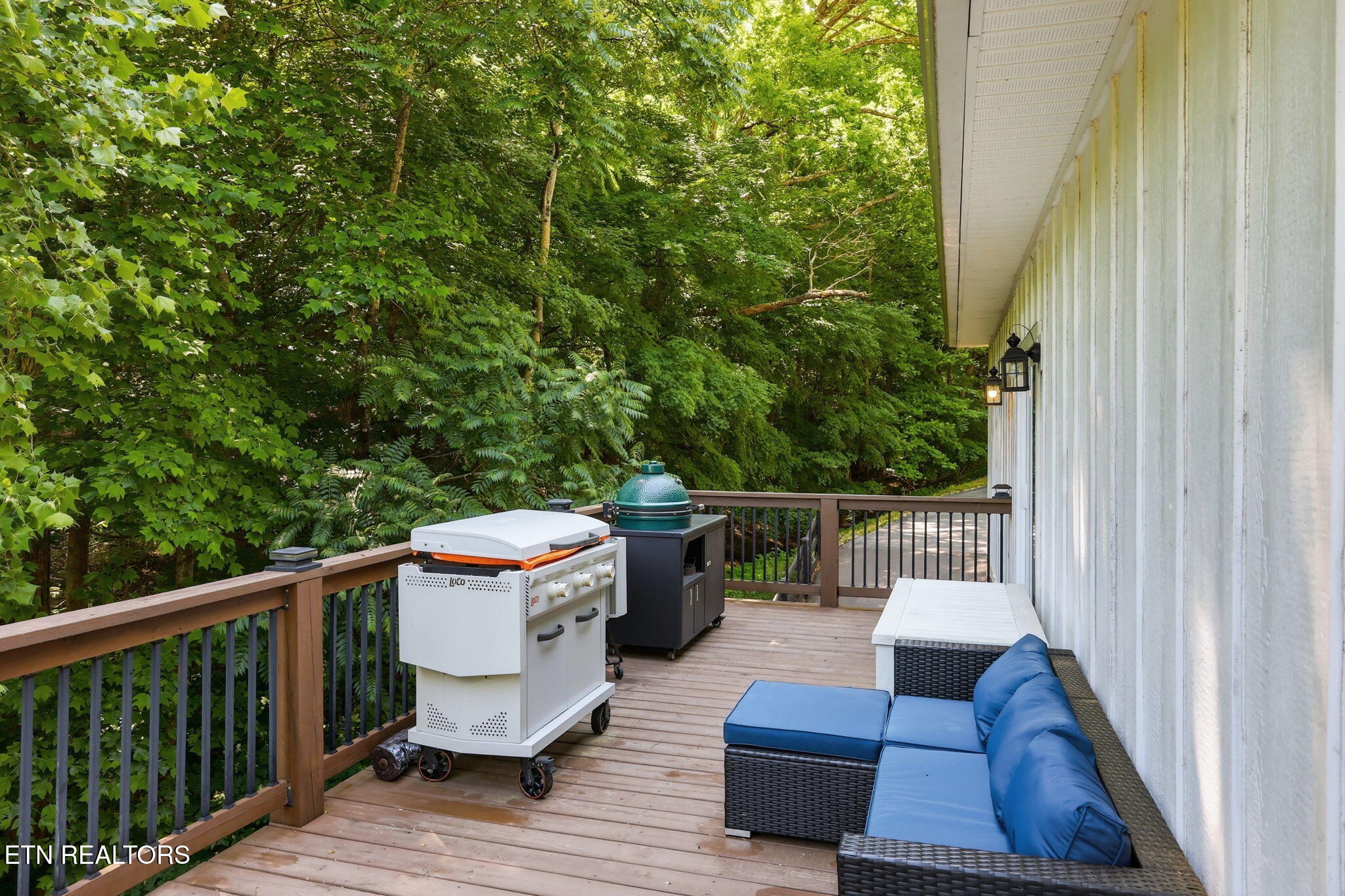 1068 N Shorewood Drive Caryville TN 37714