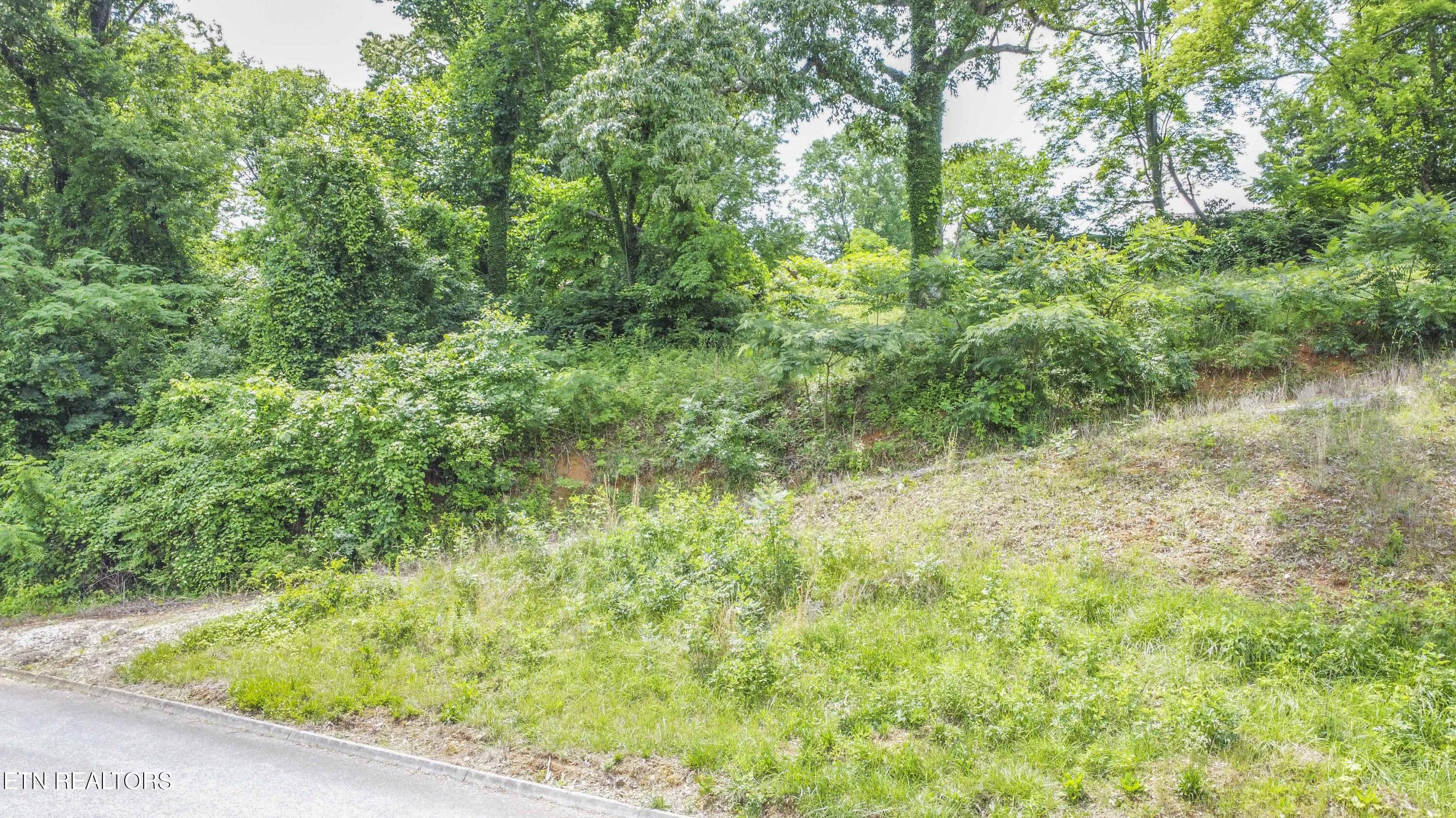 524 Westbury Drive Clinton TN 37716