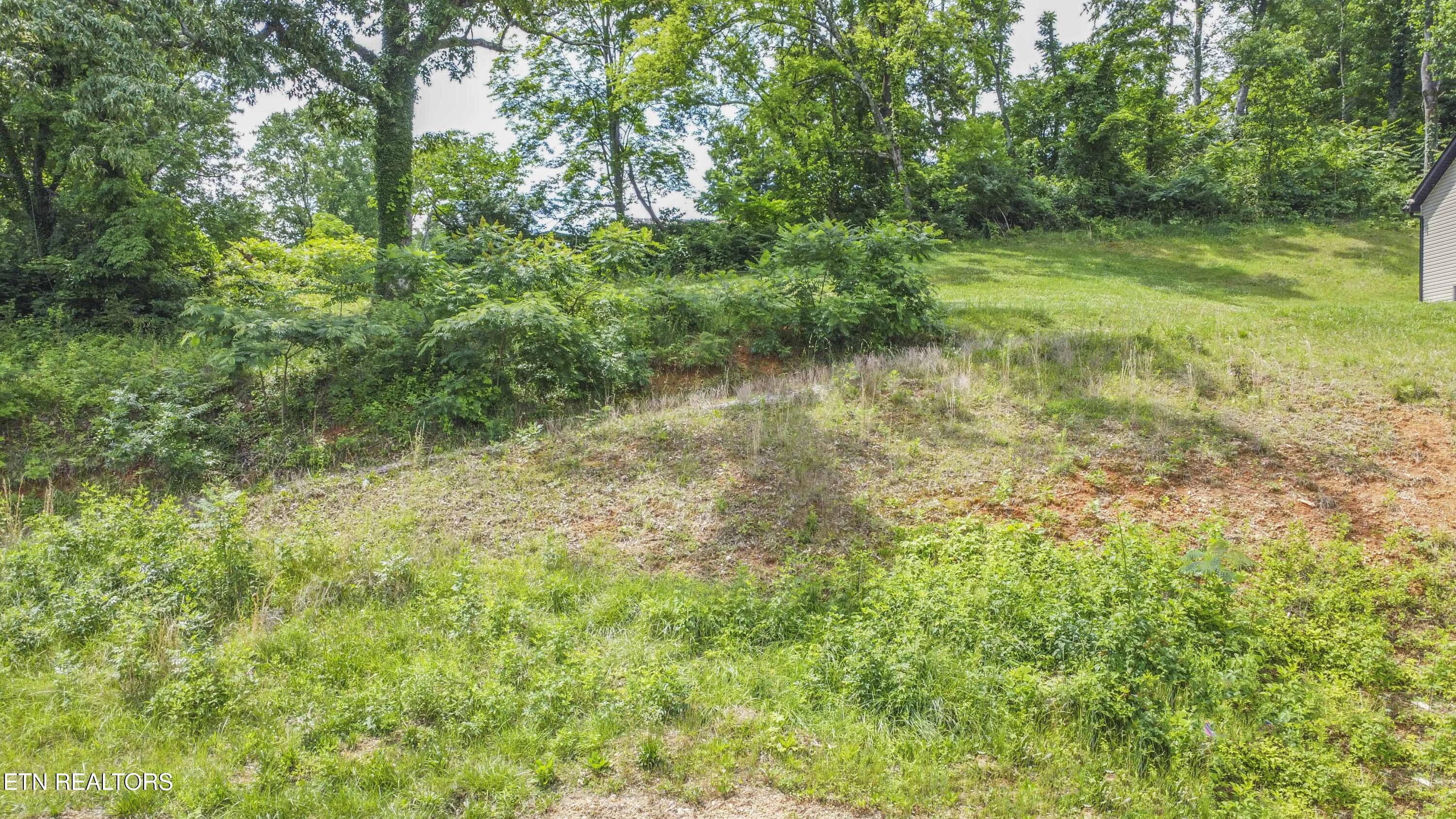 524 Westbury Drive Clinton TN 37716