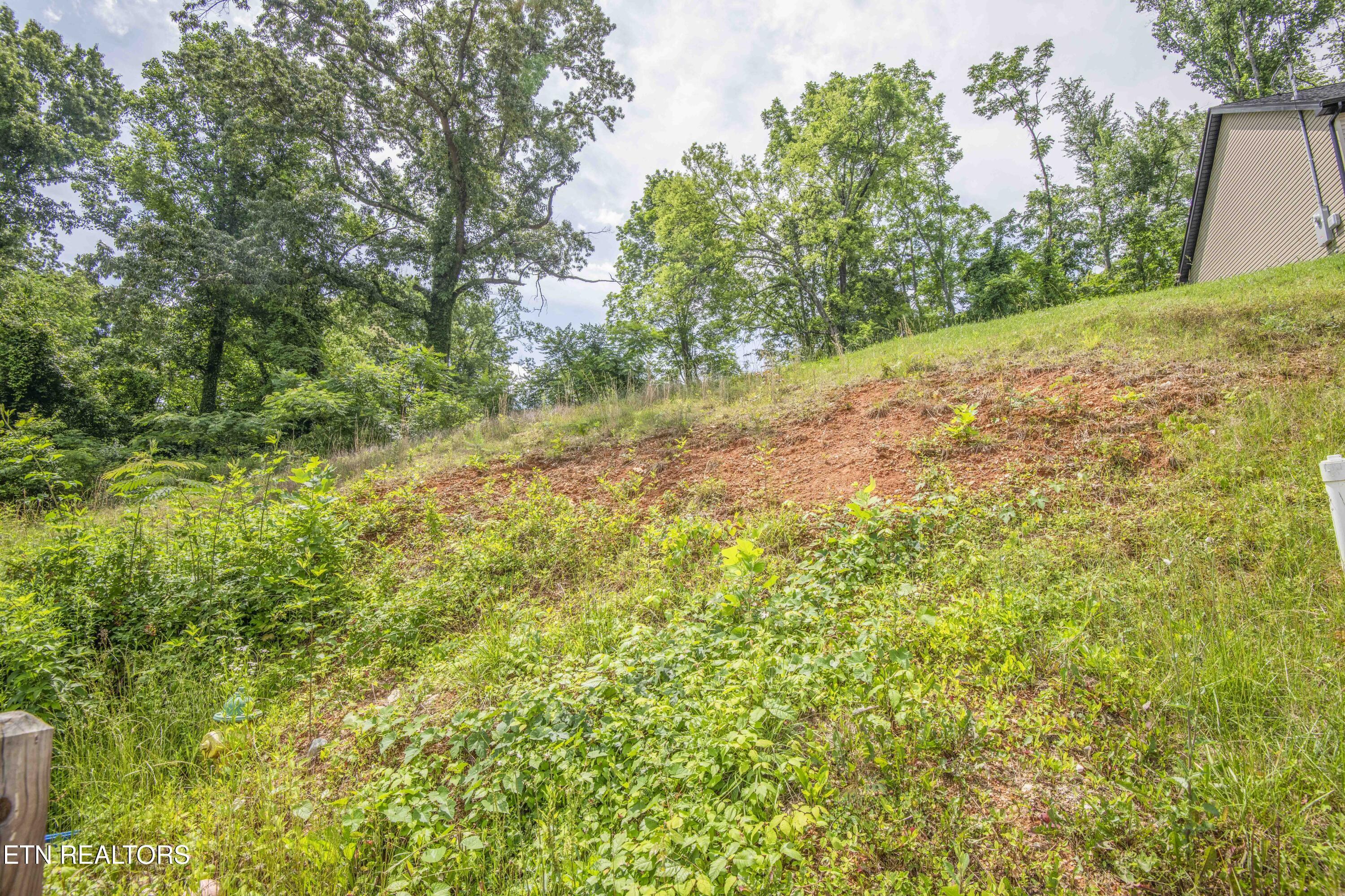 524 Westbury Drive Clinton TN 37716