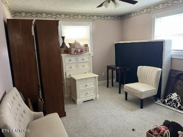 134 Old Pinecrest Lane Jacksboro TN 37757