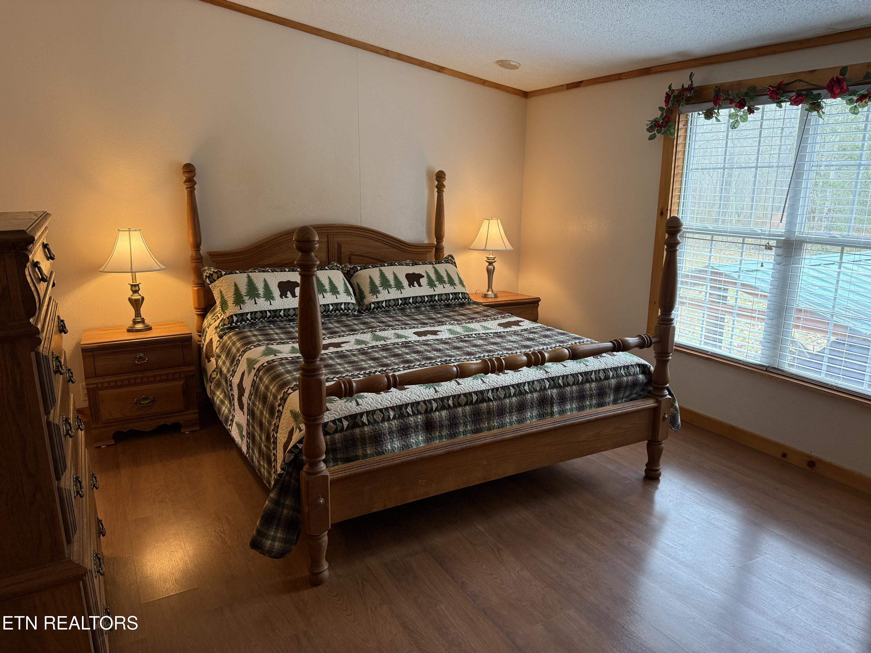 468 Bobcat Ridge Way Cosby TN 37722