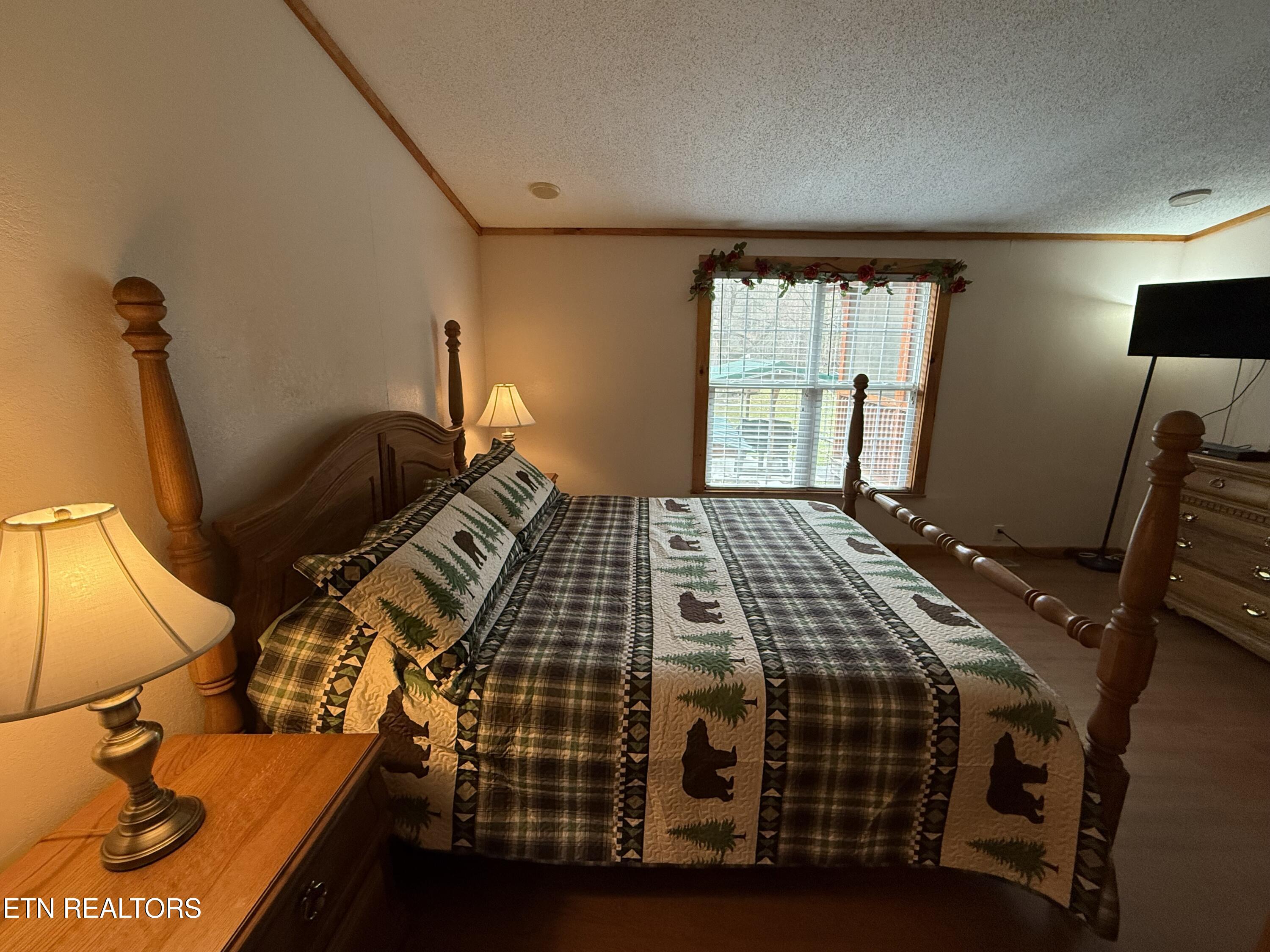 468 Bobcat Ridge Way Cosby TN 37722