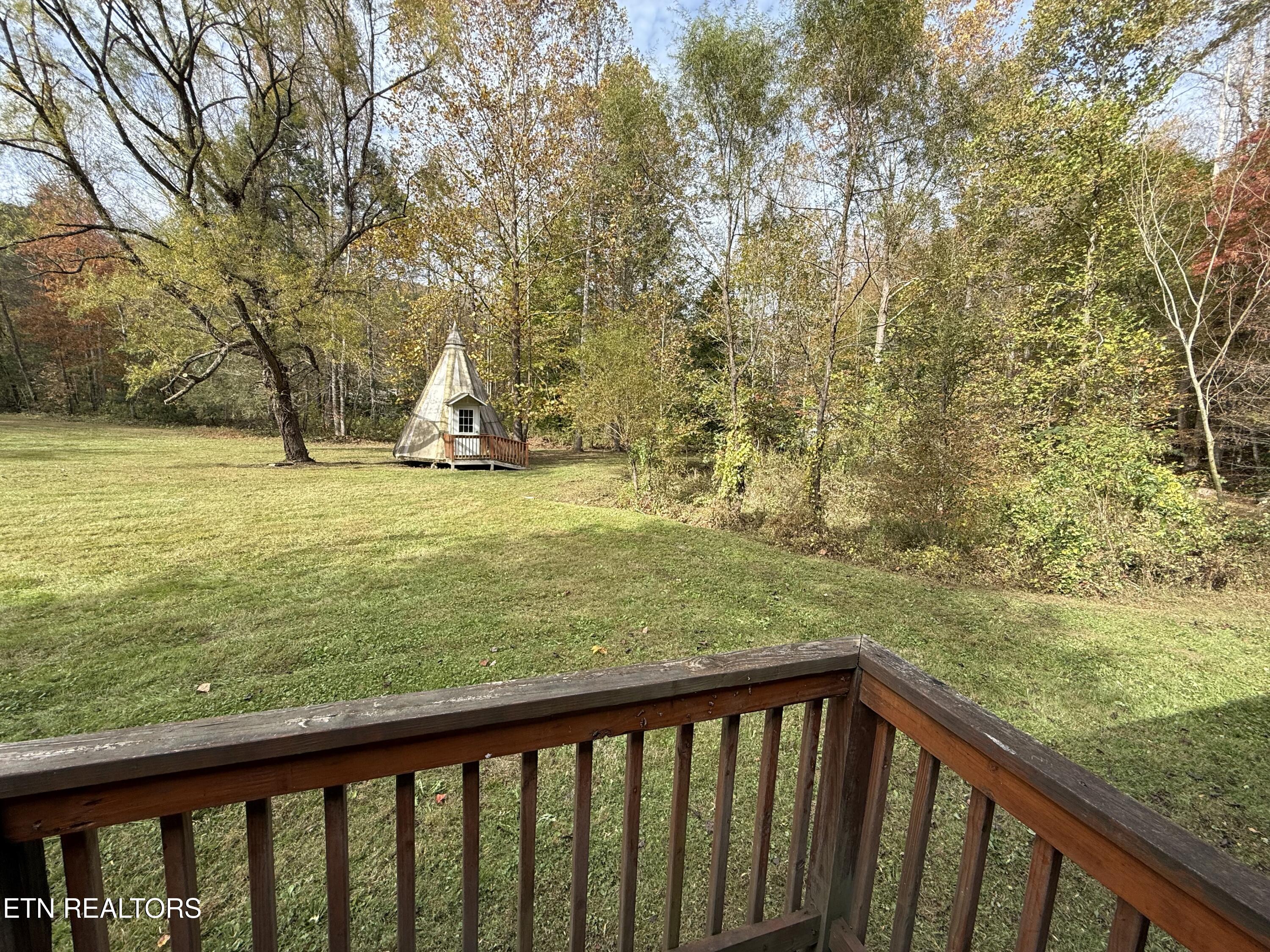 468 Bobcat Ridge Way Cosby TN 37722