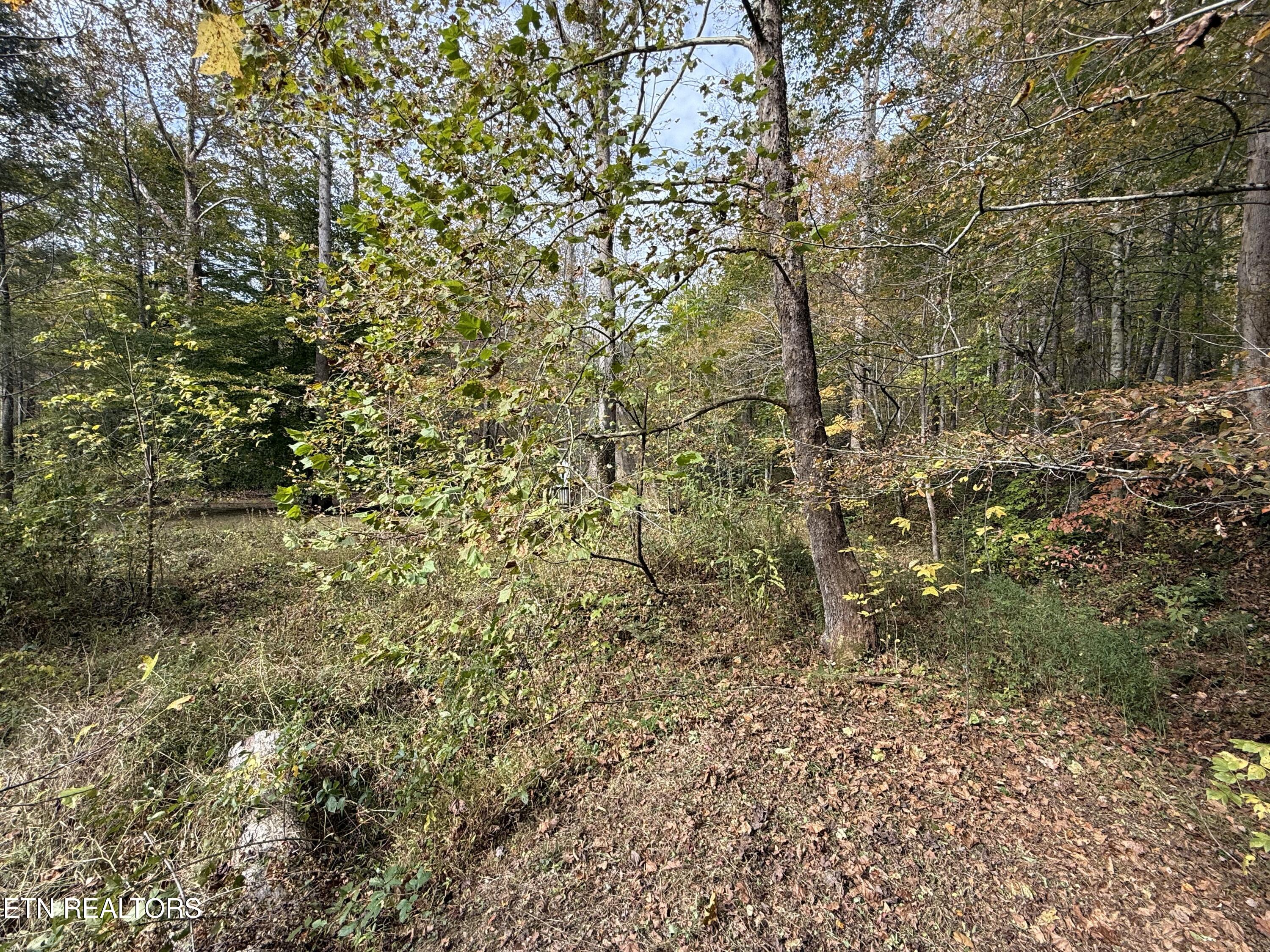 468 Bobcat Ridge Way Cosby TN 37722