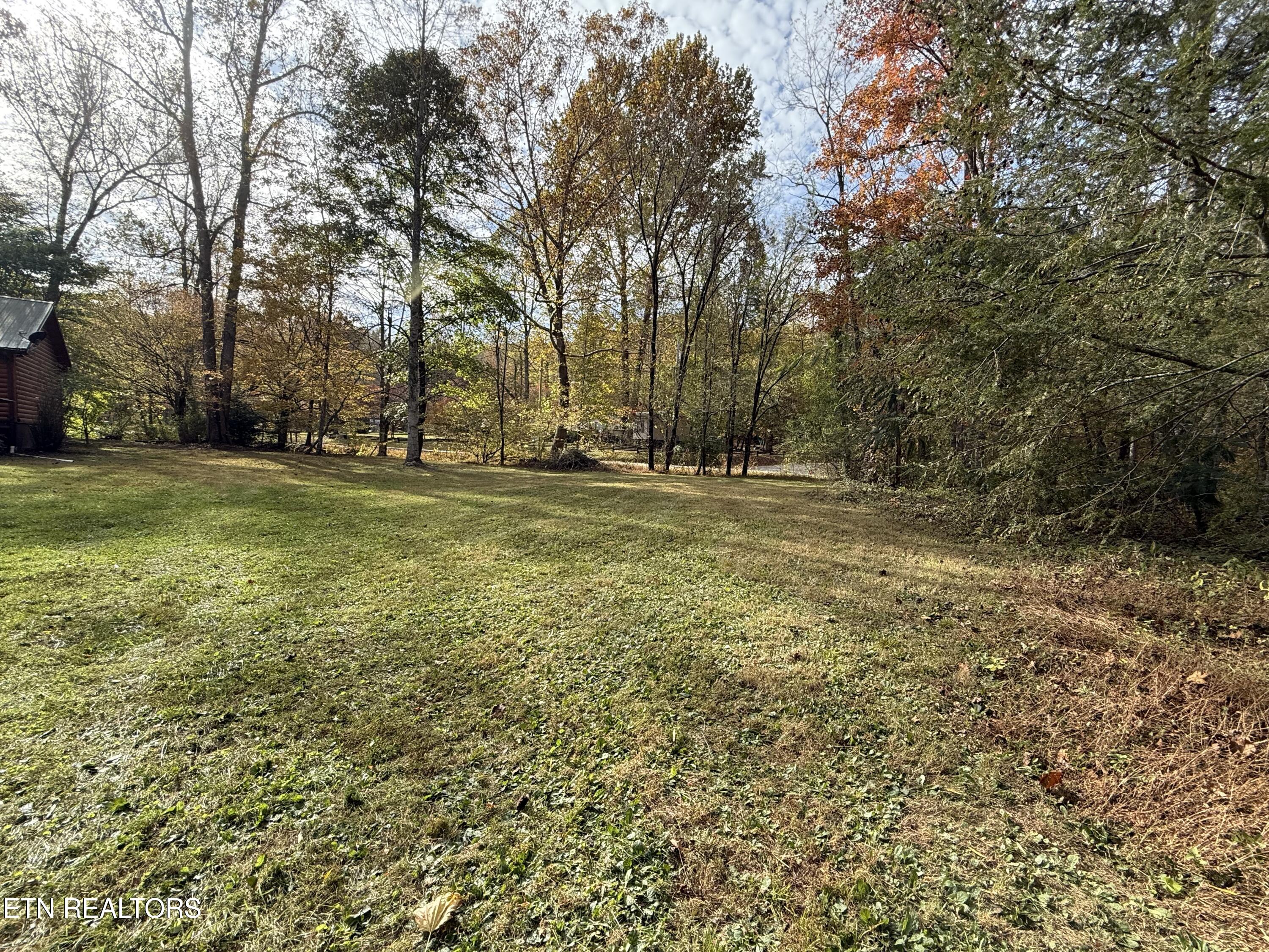 468 Bobcat Ridge Way Cosby TN 37722