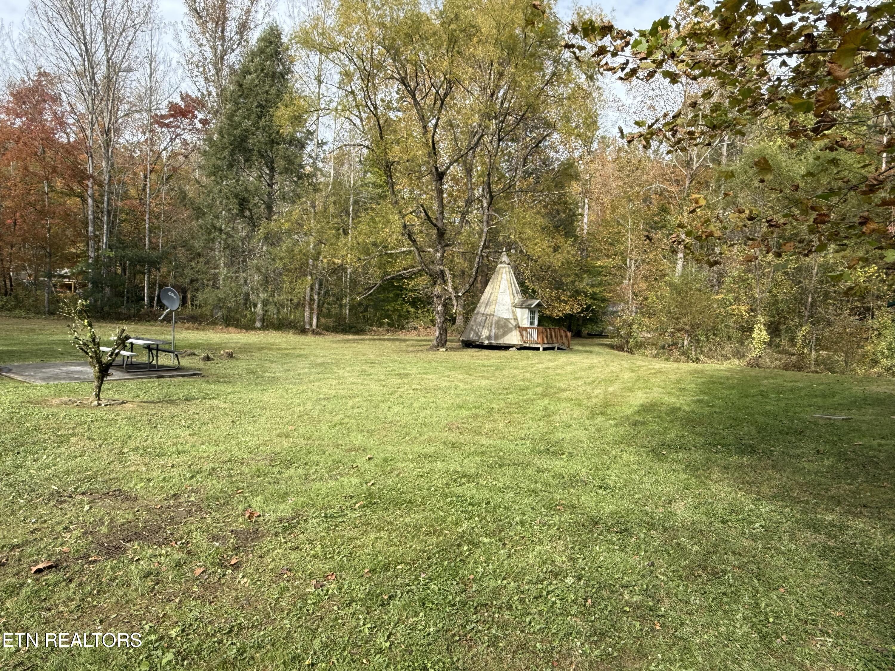 468 Bobcat Ridge Way Cosby TN 37722