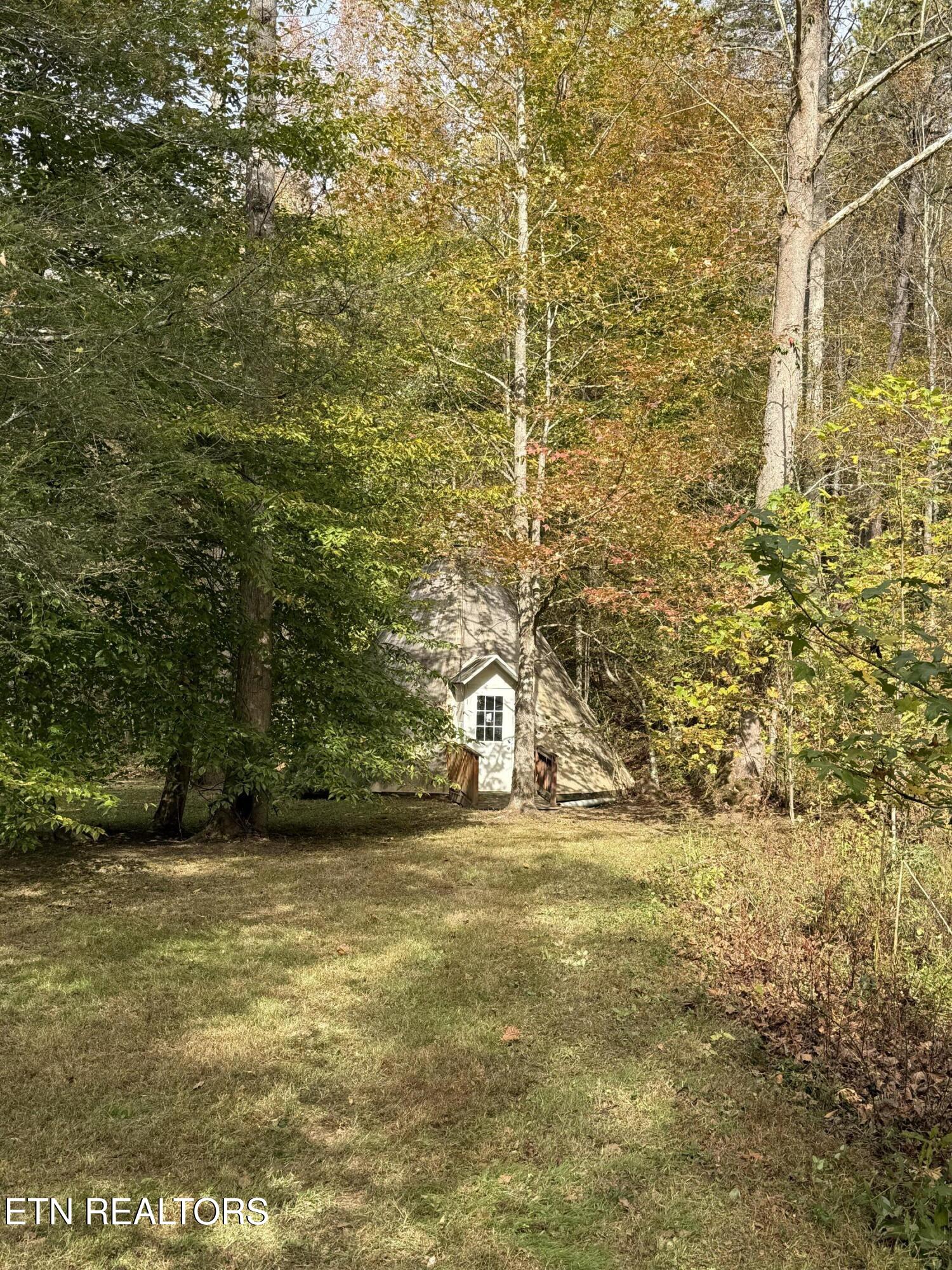 468 Bobcat Ridge Way Cosby TN 37722