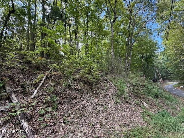 1329 Ski View Lane Sevierville TN 37876