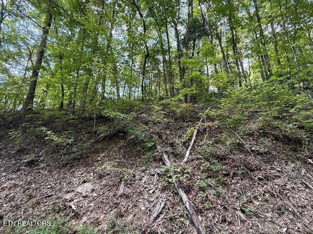 1329 Ski View Lane Sevierville TN 37876