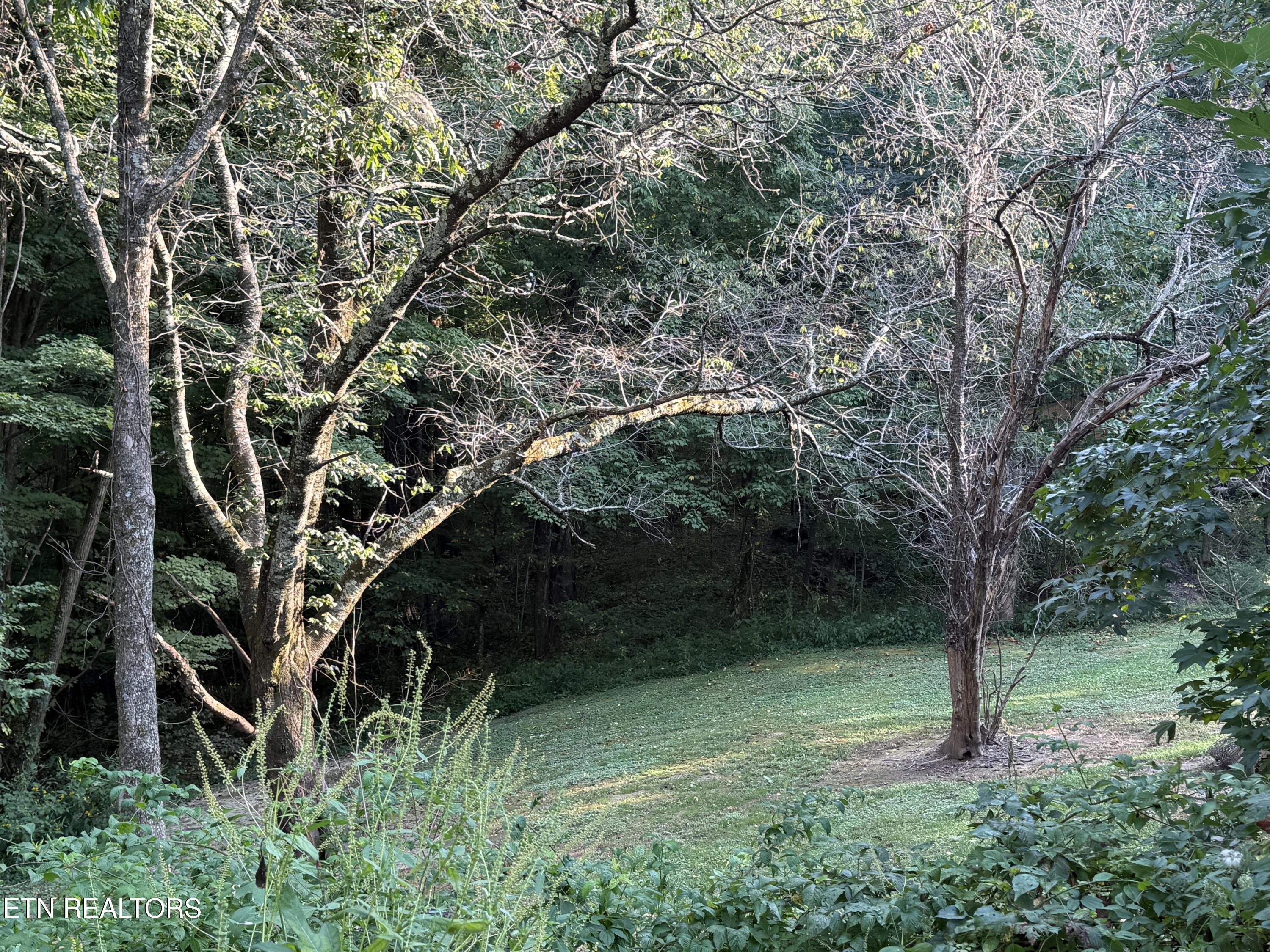 835 Vowell Mountain Lane Rocky Top TN 37769