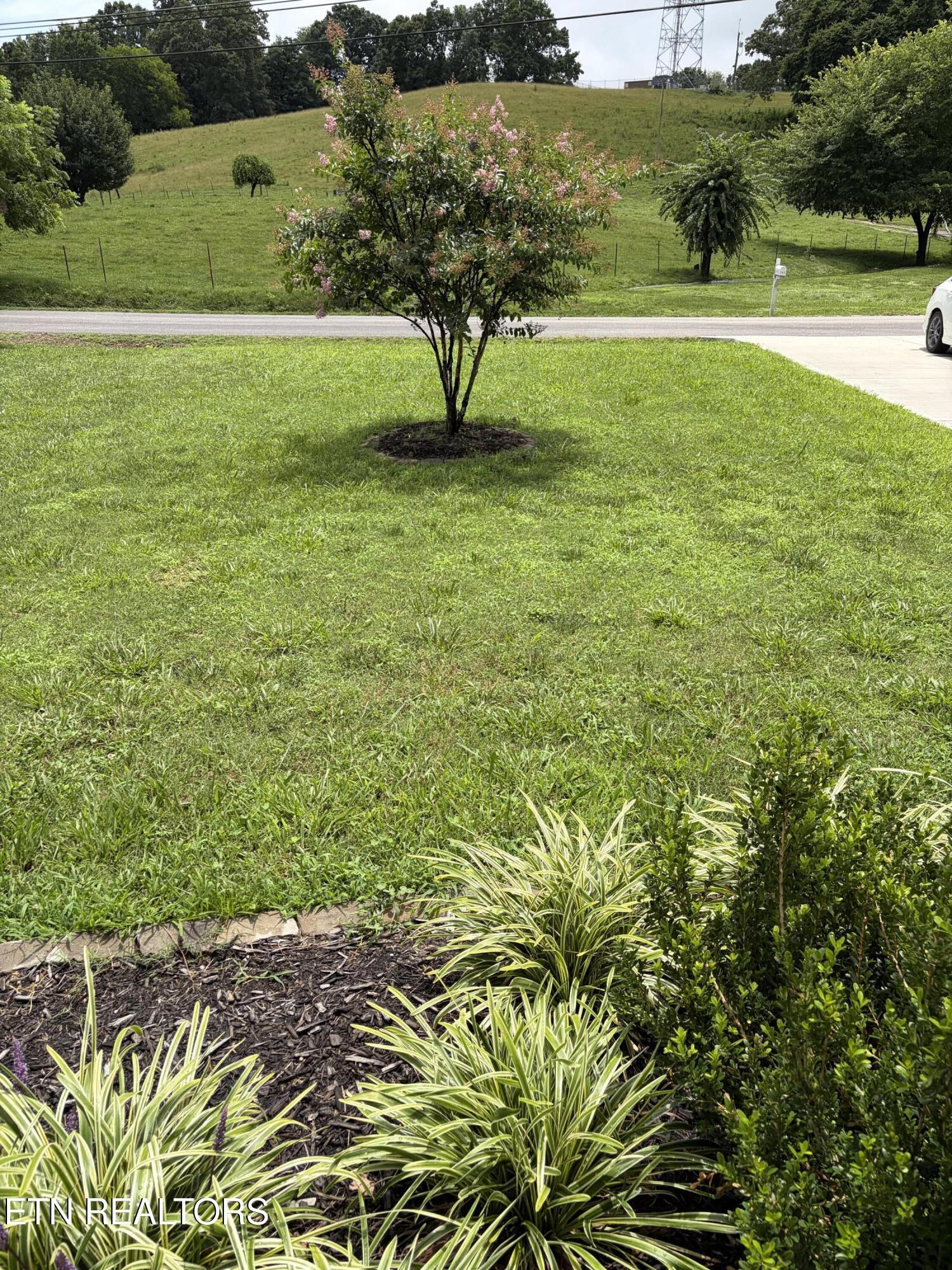 762 Hillvale Road Andersonville TN 37705