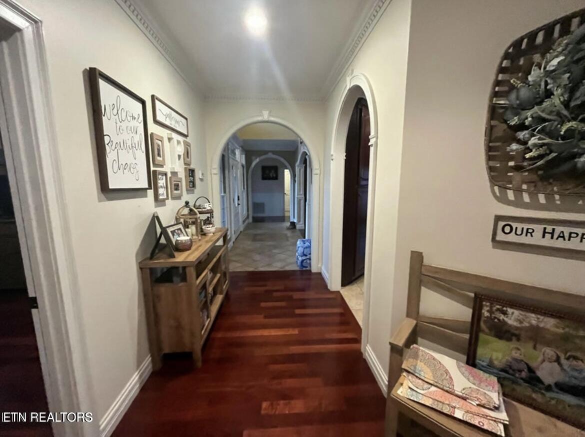 164 Ashley Court Speedwell TN 37870