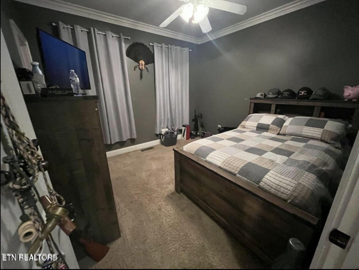 164 Ashley Court Speedwell TN 37870