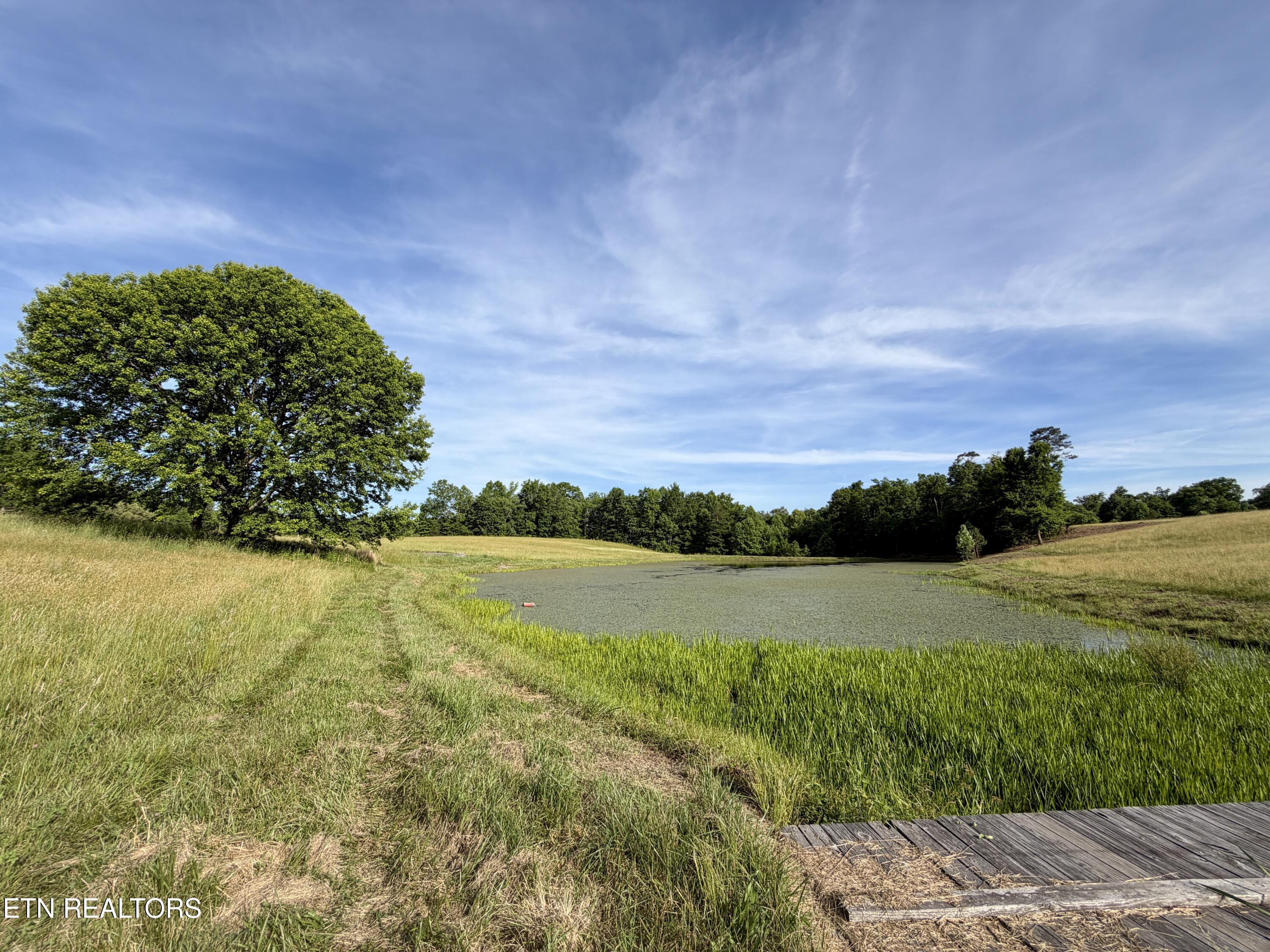 1770 Buffalo Road Oneida TN 37841