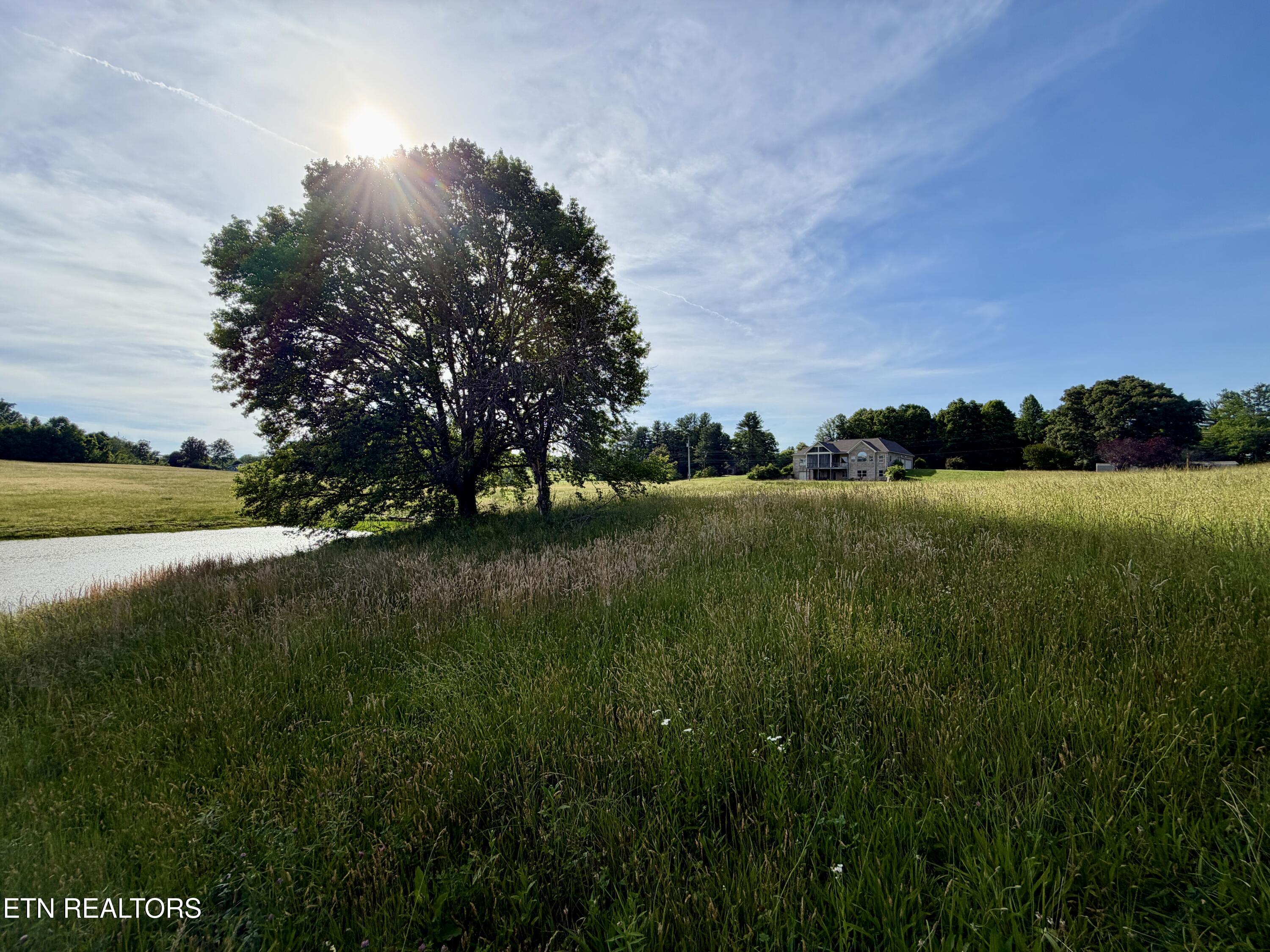 1770 Buffalo Road Oneida TN 37841