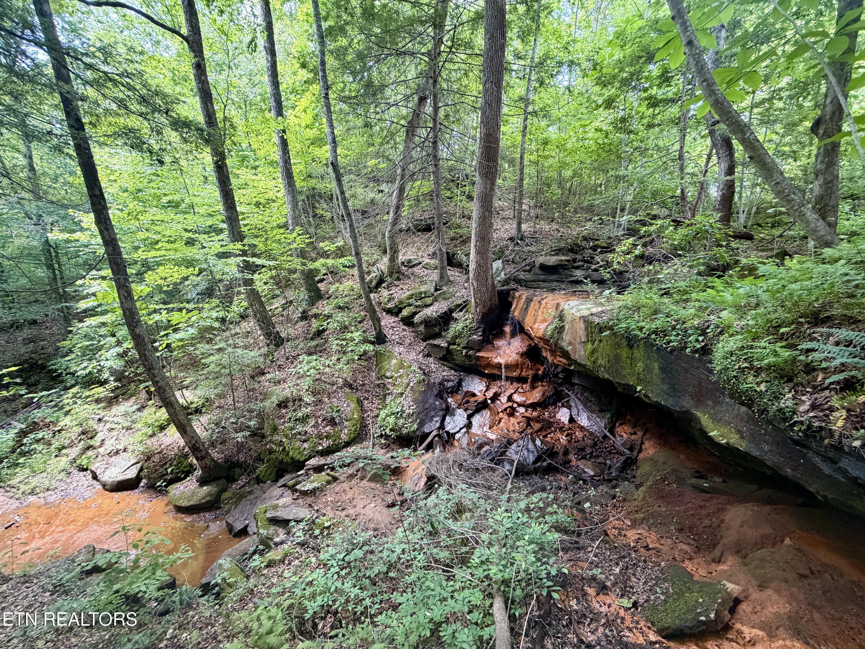 1770 Buffalo Road Oneida TN 37841