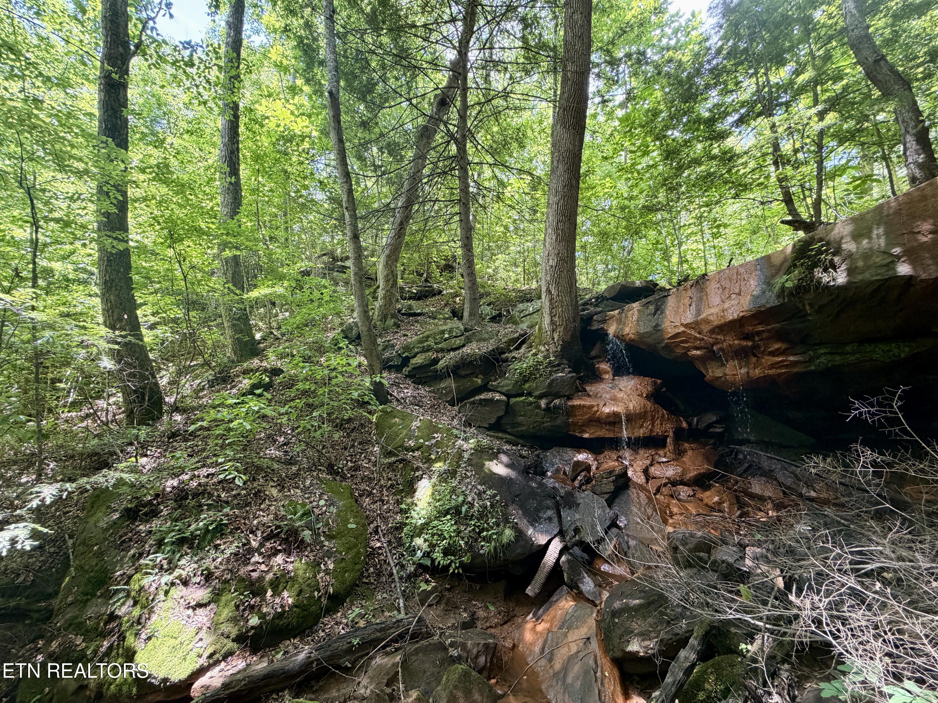 1770 Buffalo Road Oneida TN 37841