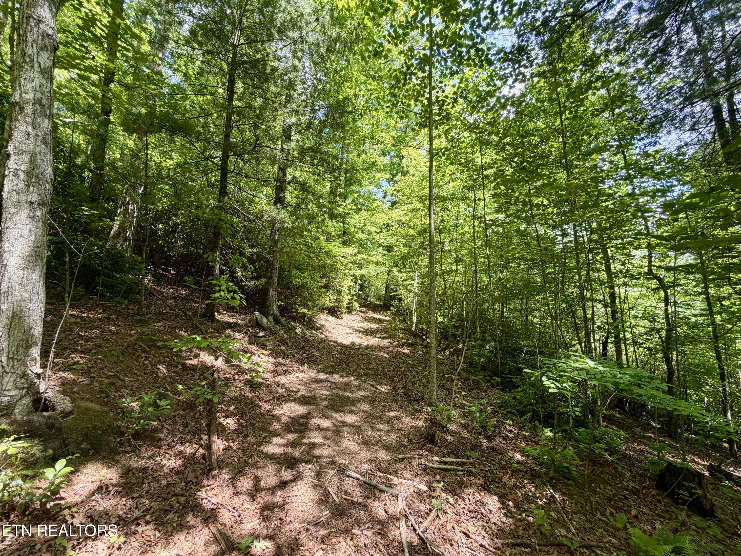 1770 Buffalo Road Oneida TN 37841