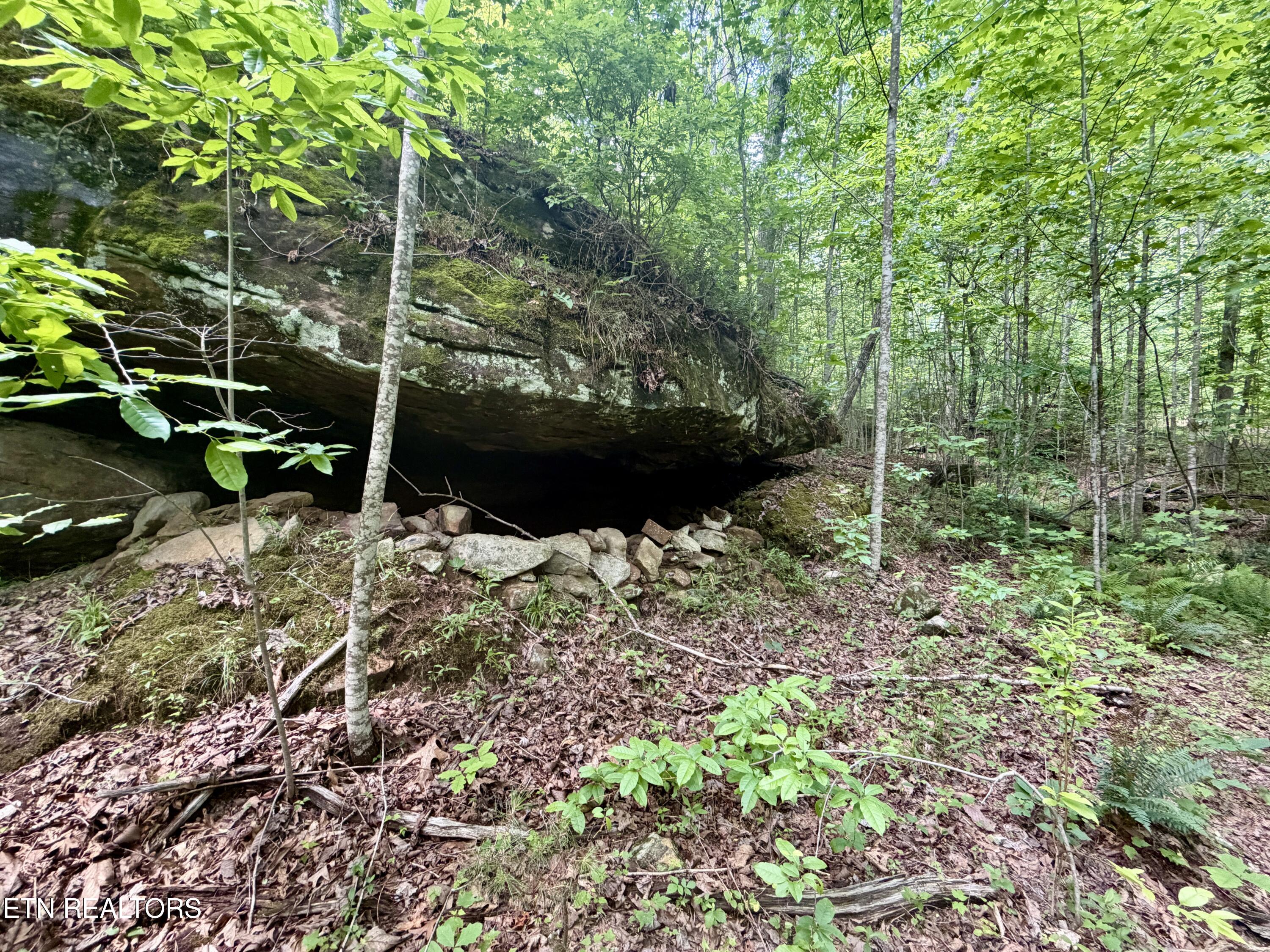 1770 Buffalo Road Oneida TN 37841