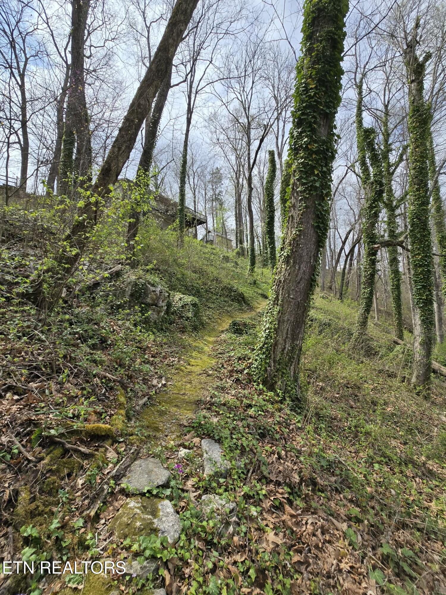 961 Indian River Boat Dock Road Jacksboro TN 37757