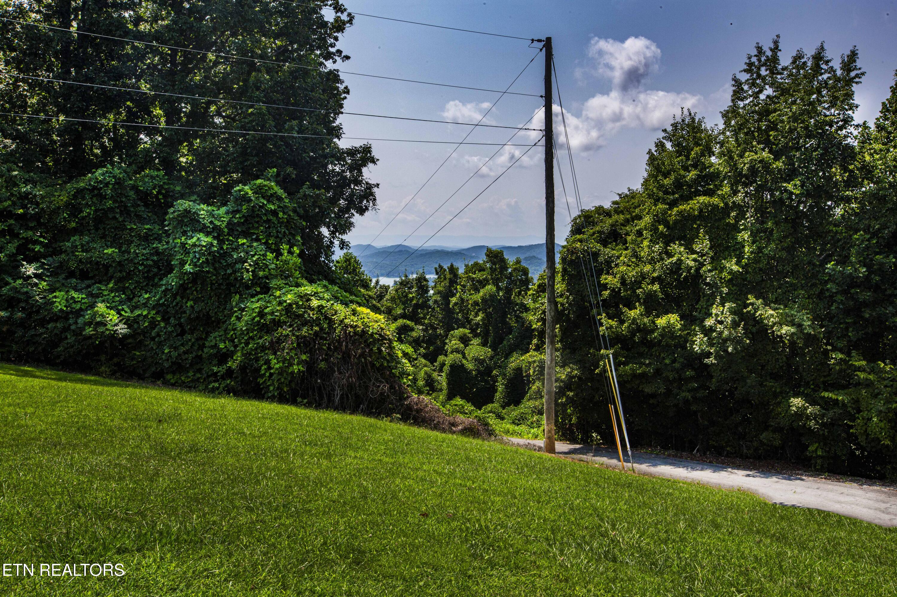 160 Reece Lakeview Lane Maynardville TN 37807