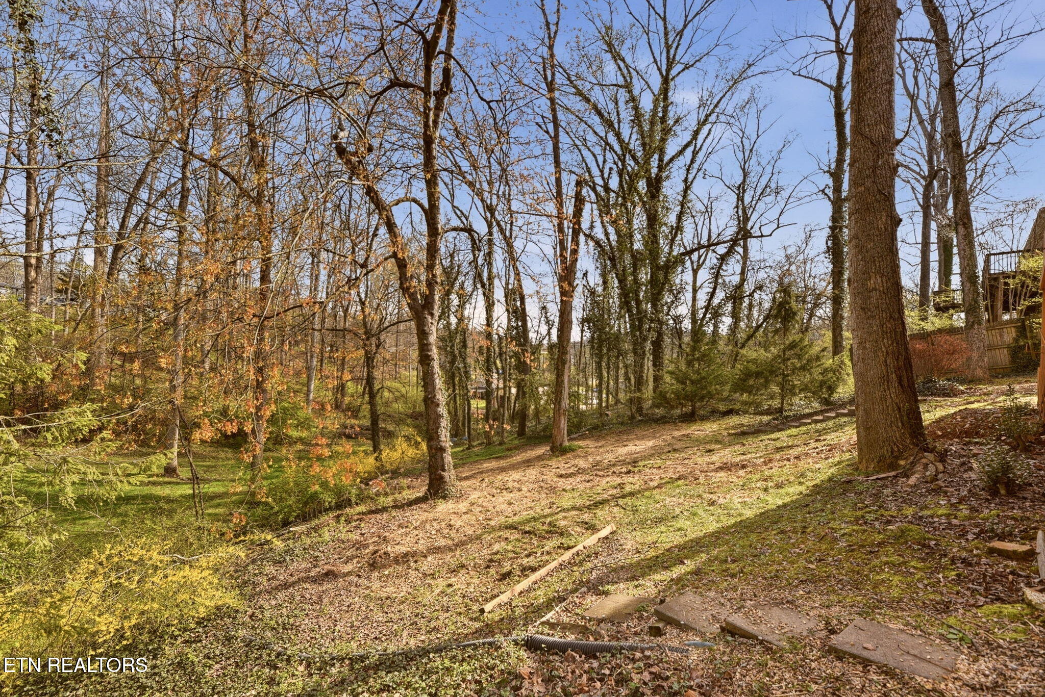 427 Sherwood Estates Circle Clinton TN 37716