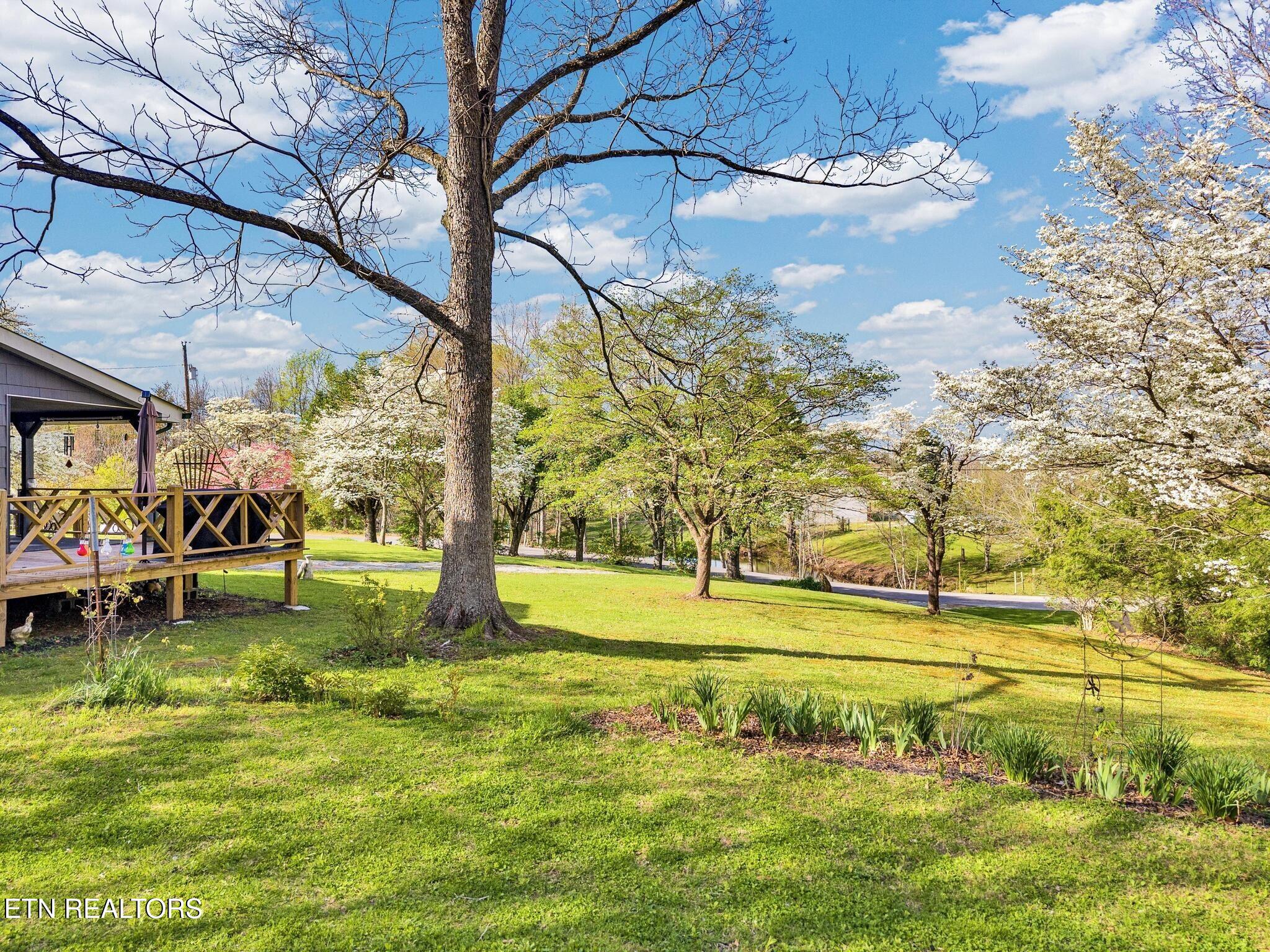 31 Wayfarer Lane Crossville TN 38572
