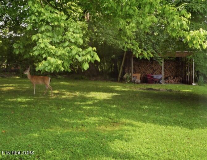 31 Wayfarer Lane Crossville TN 38572