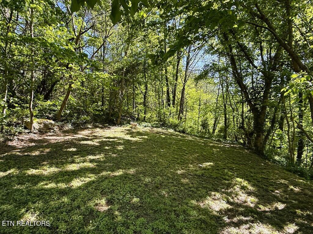 2241 Byrdstown Highway Livingston TN 38570