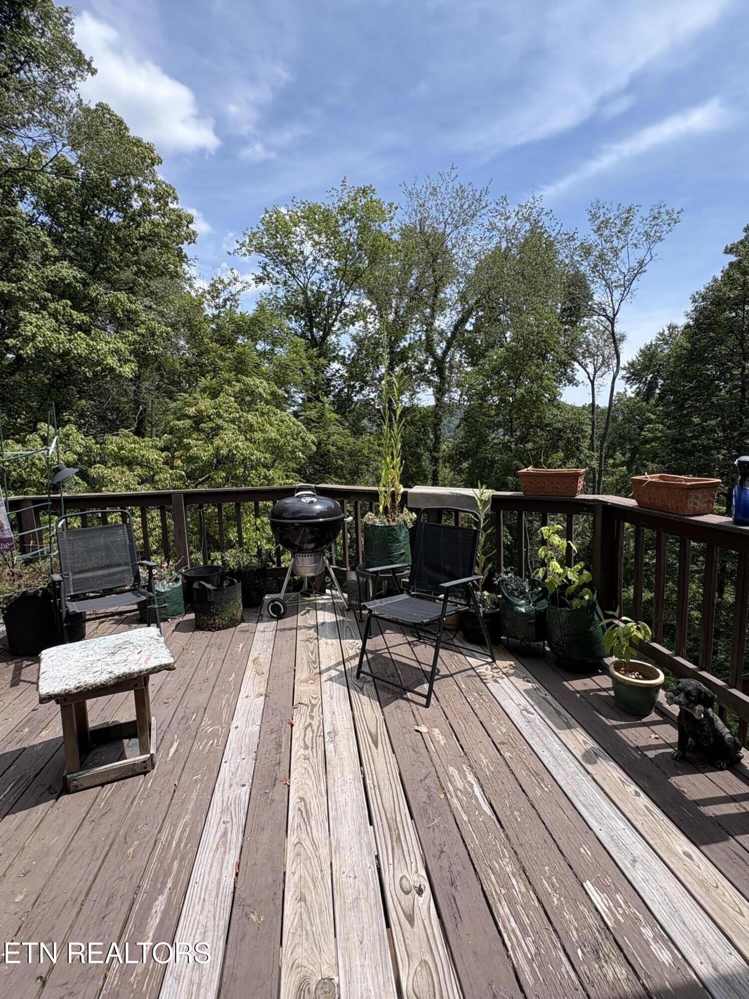 102 E Morningside Drive Oak Ridge TN 37830