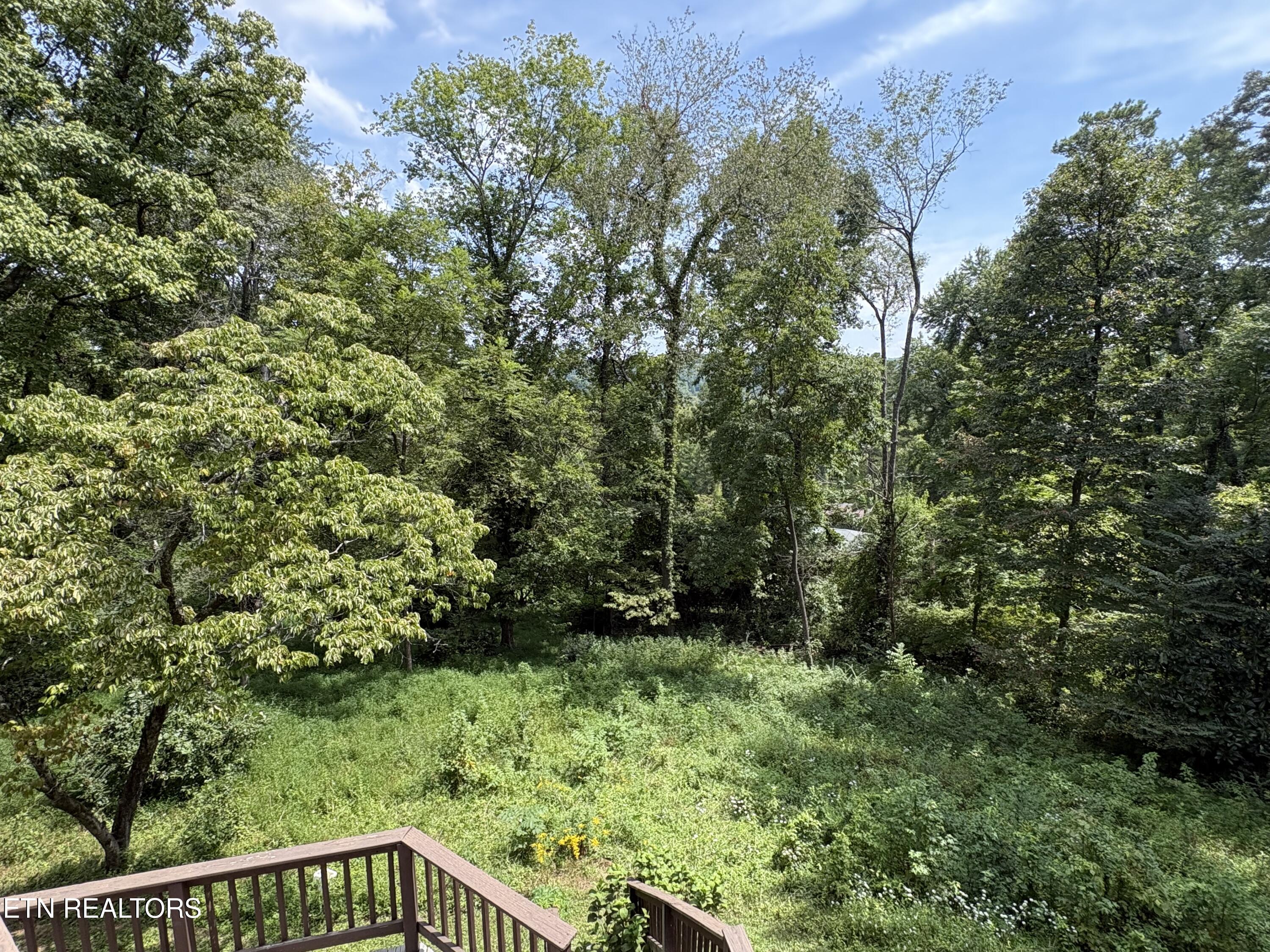 102 E Morningside Drive Oak Ridge TN 37830