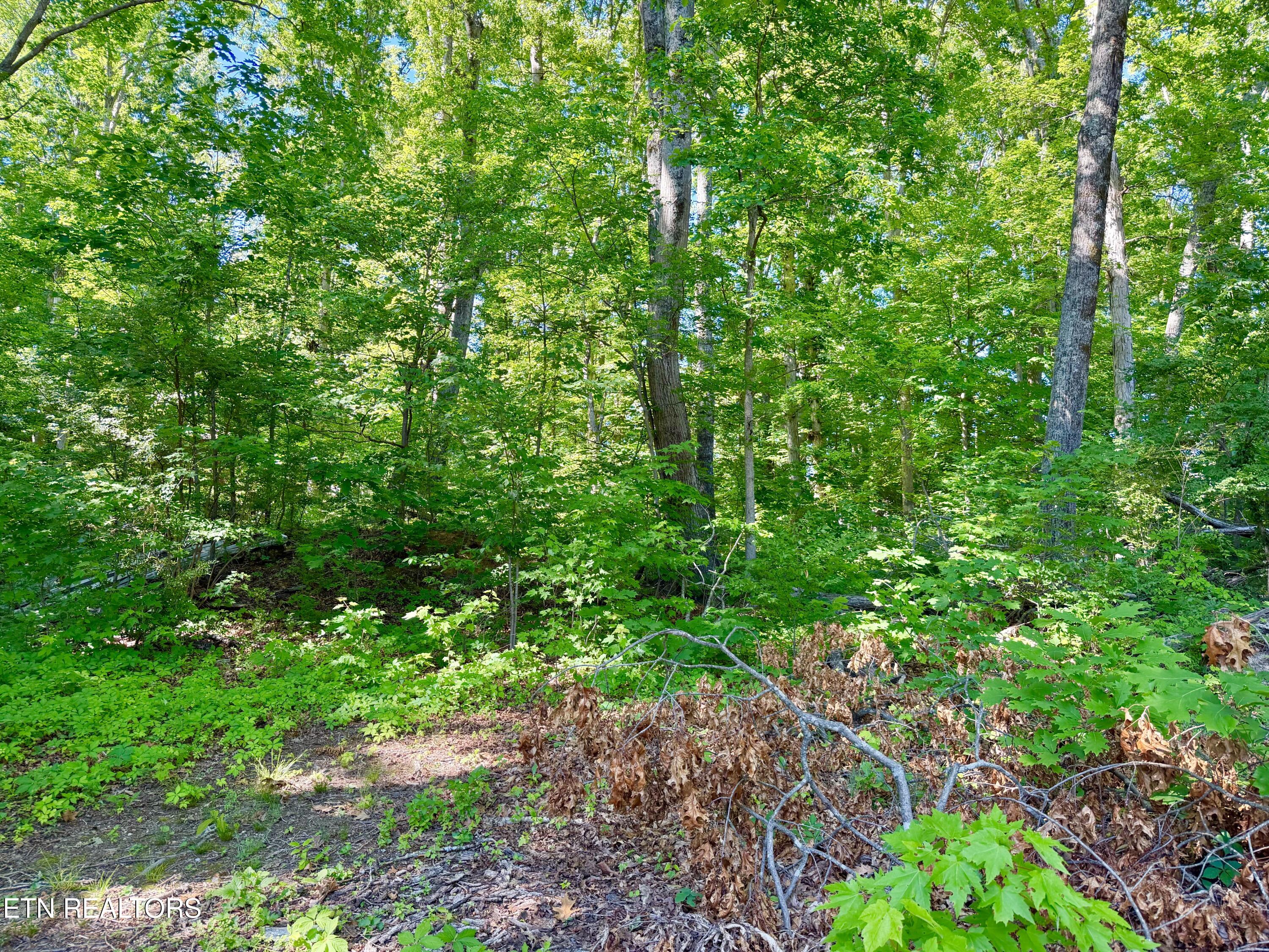 2837 Wildwood Road Maryville TN 37804