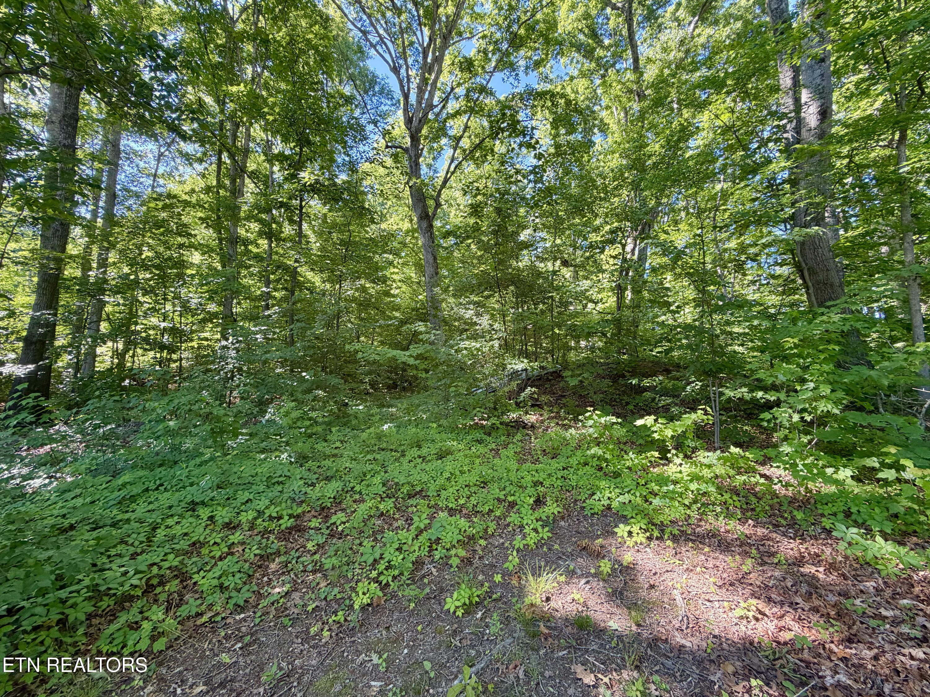 2837 Wildwood Road Maryville TN 37804